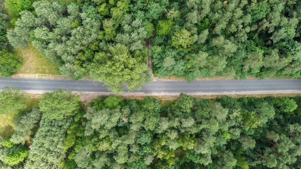 an aerial view of a road in the middle of a forest