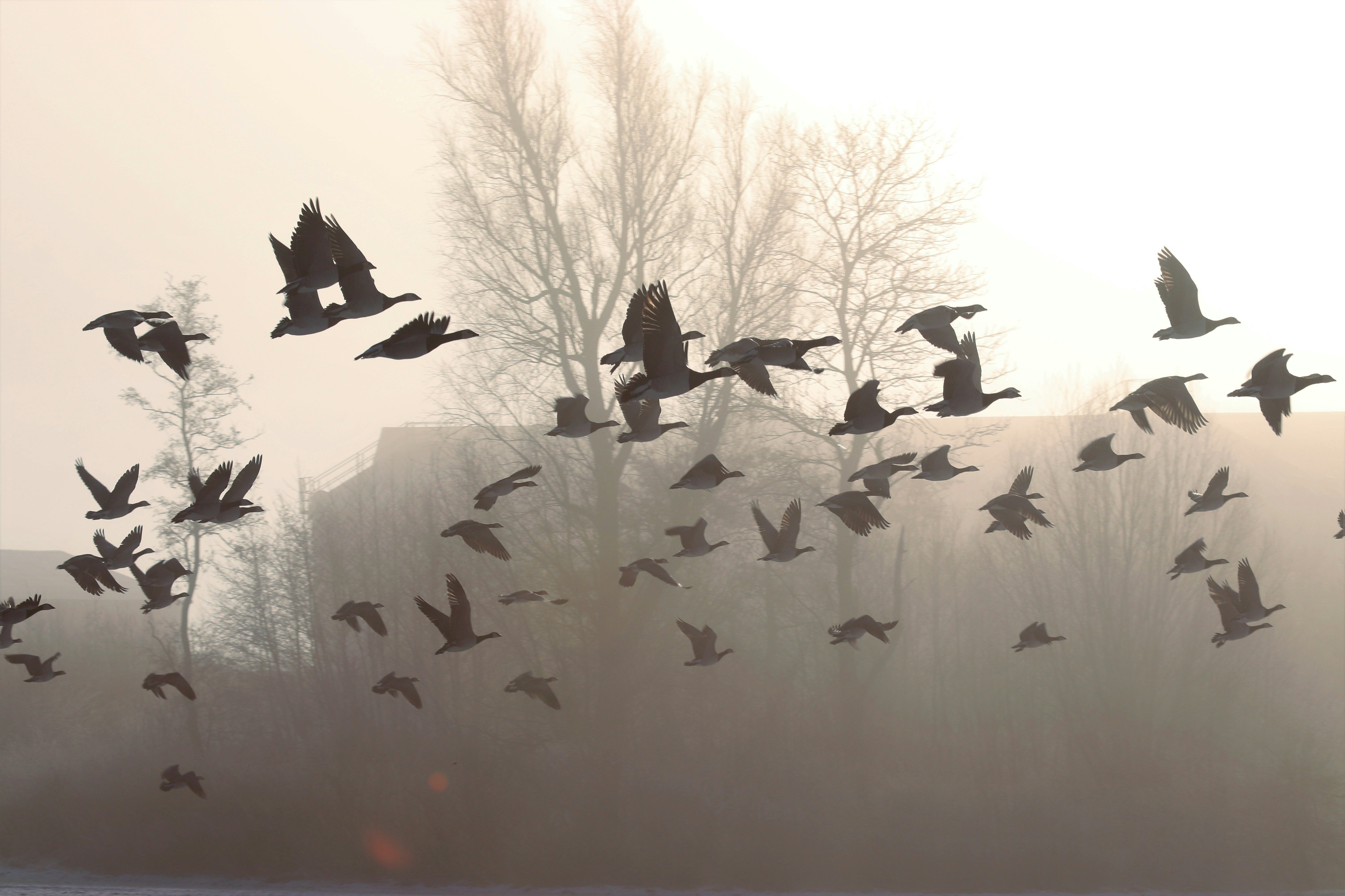 Photo by henrik_hansen