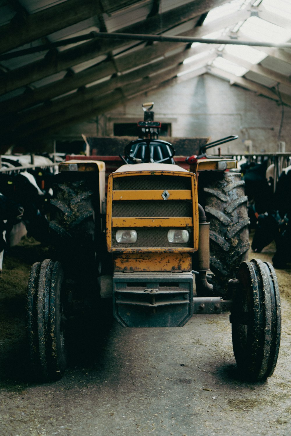 a tractor parked inside of a building next to other cows