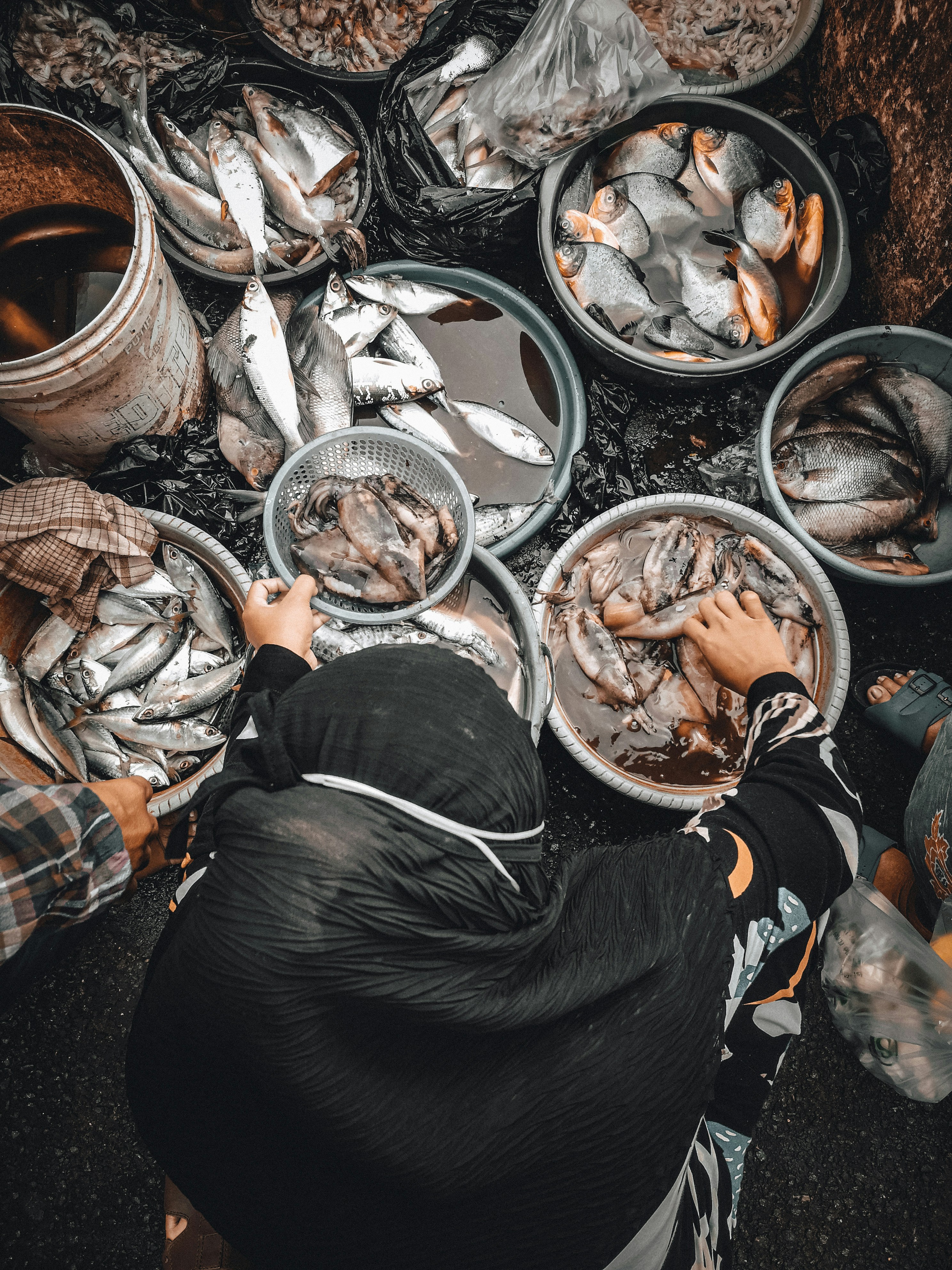 a person standing in front of buckets of fish