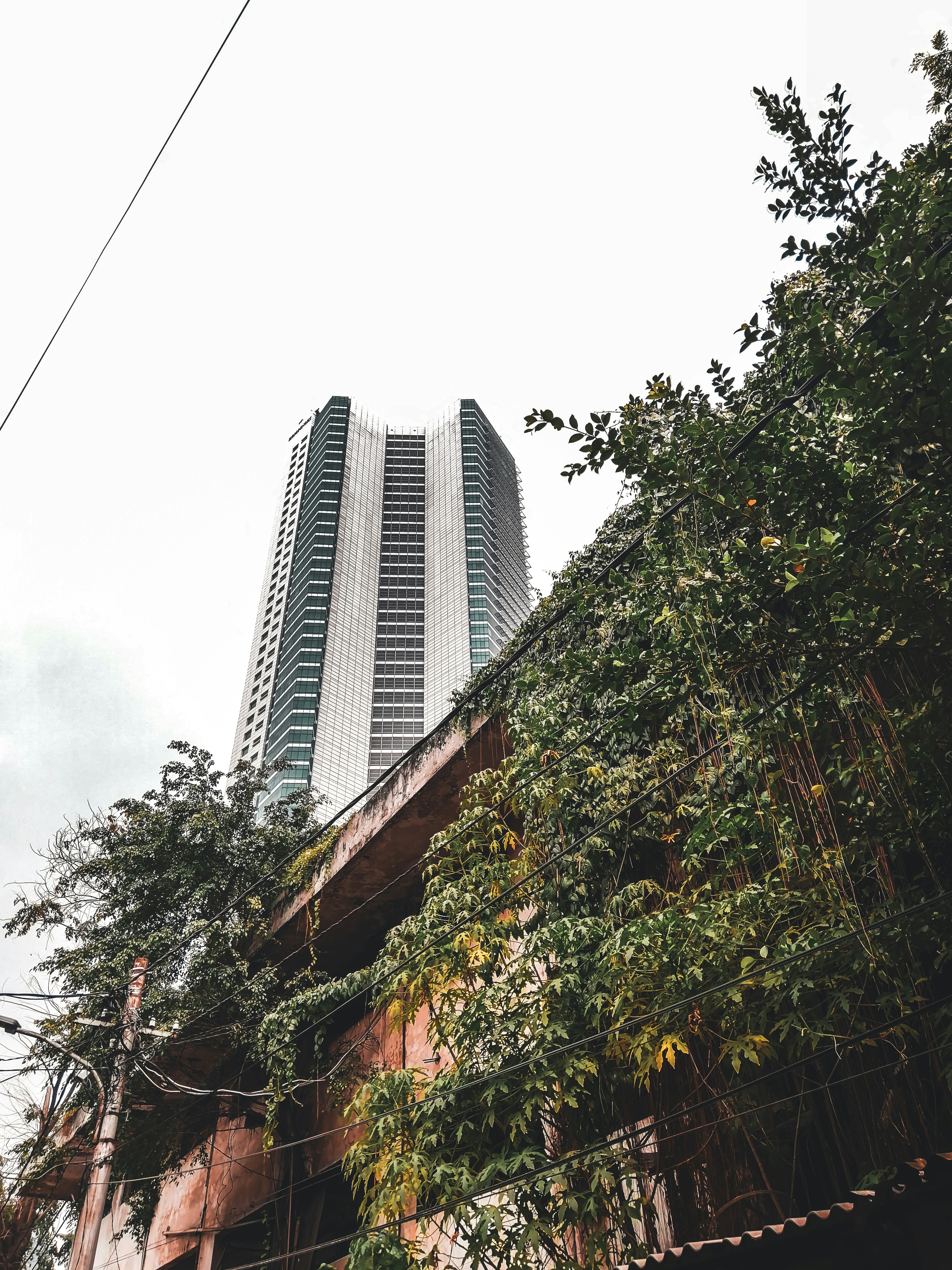 a tall building sitting next to a lush green forest