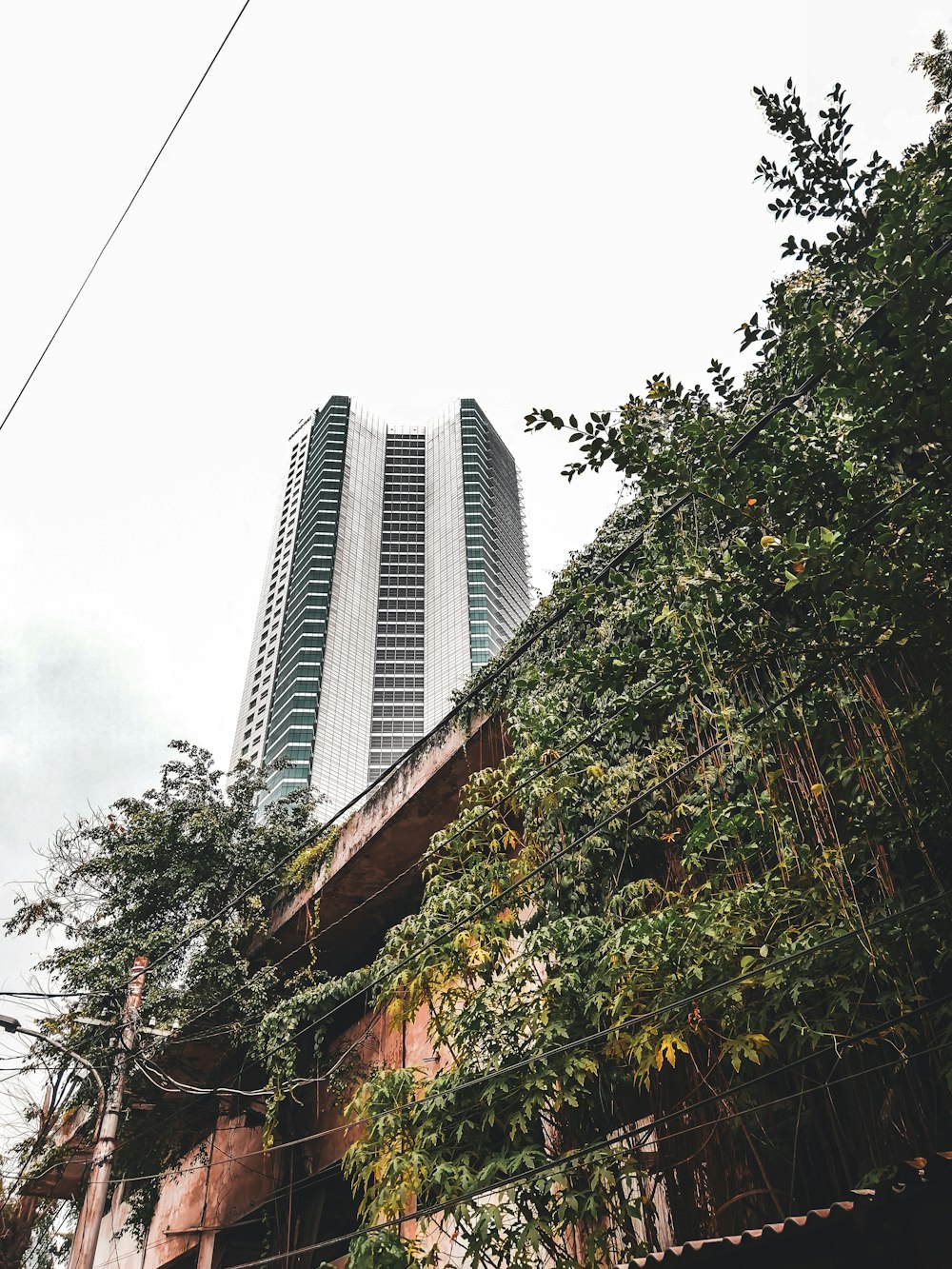 a tall building sitting next to a lush green forest