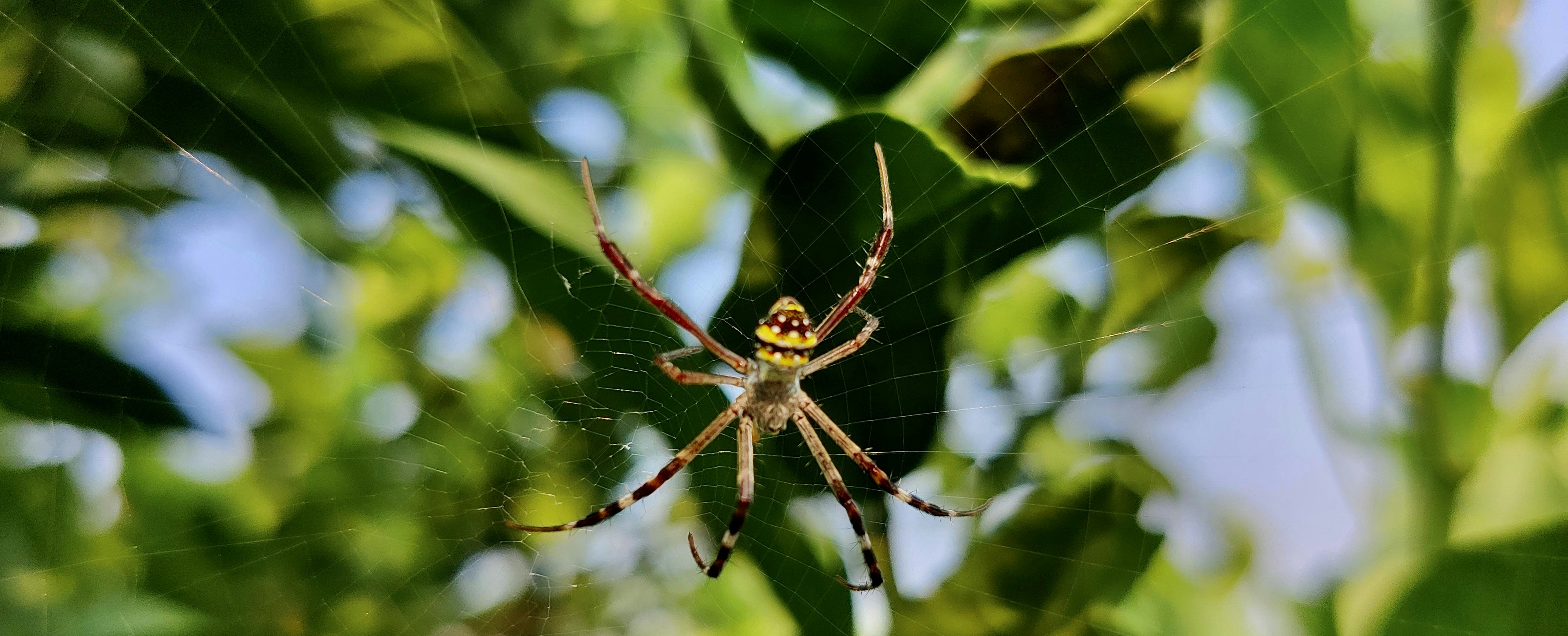 Photo by vamsinathreddy9