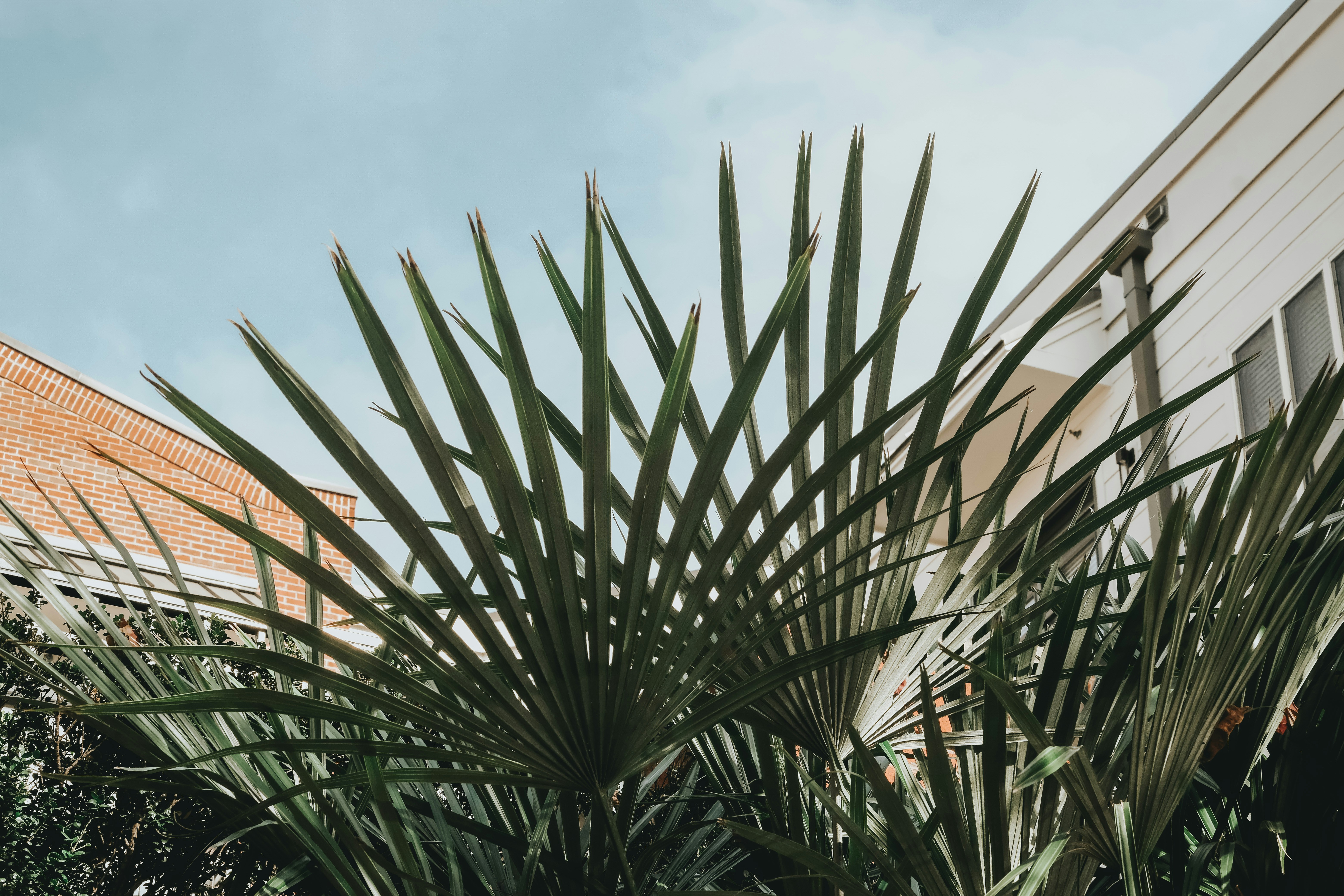 Photo by lisha_renee