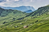 a green valley with a mountain range in the background