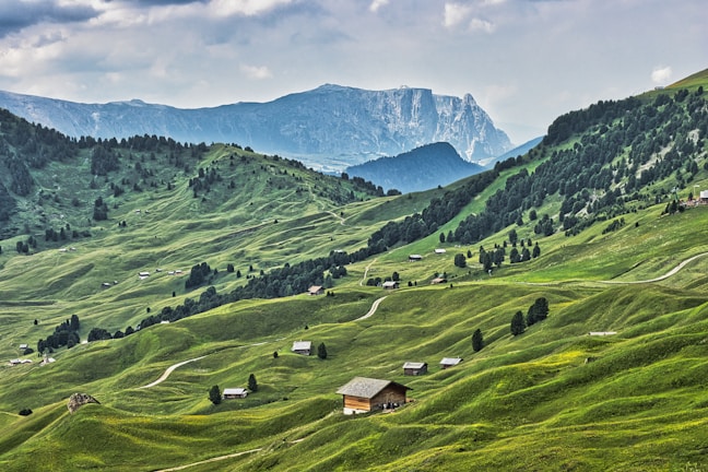 a green valley with a mountain range in the background