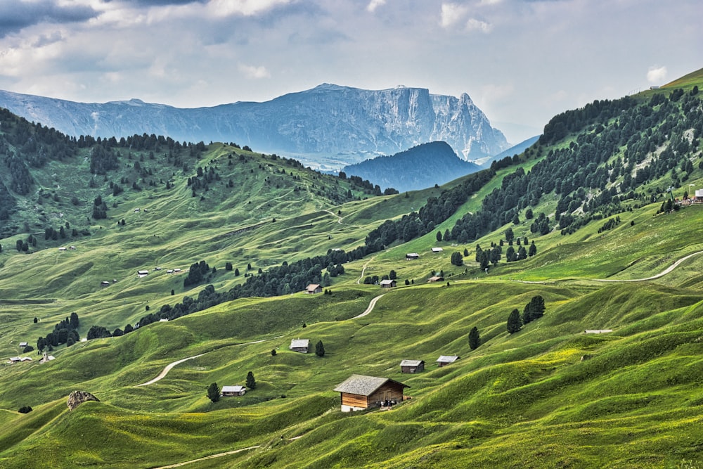 a green valley with a mountain range in the background