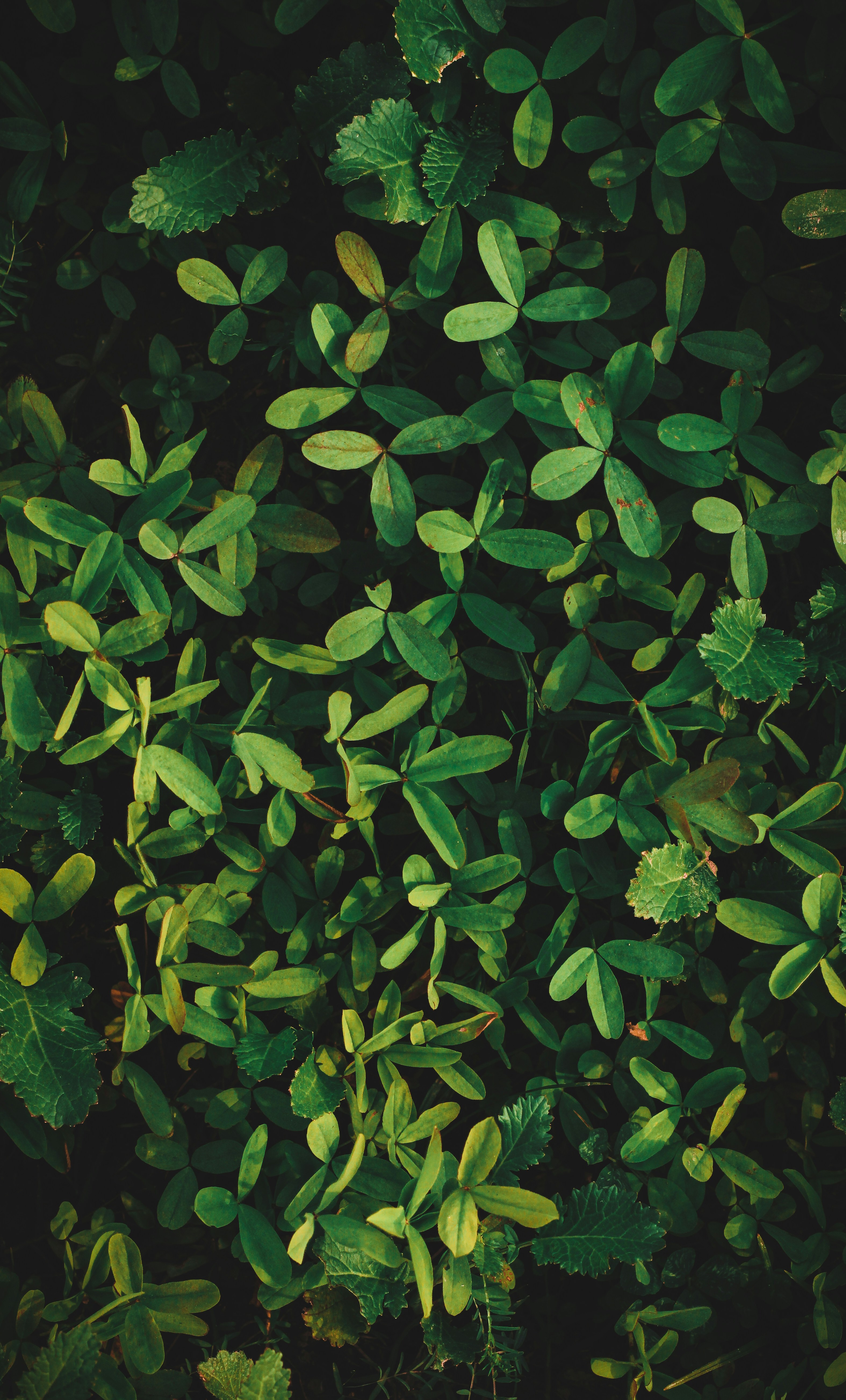 Photo by photos_by_ankur