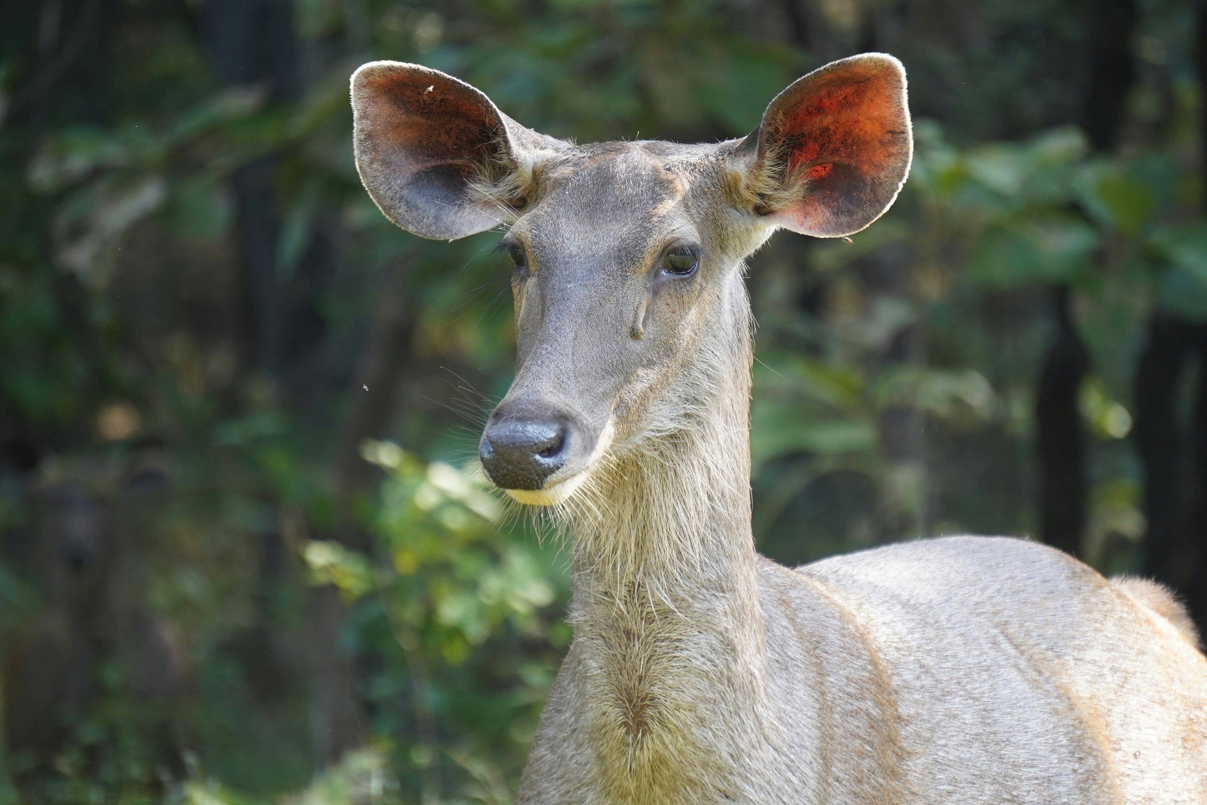 Photo by rijulchaturvedi