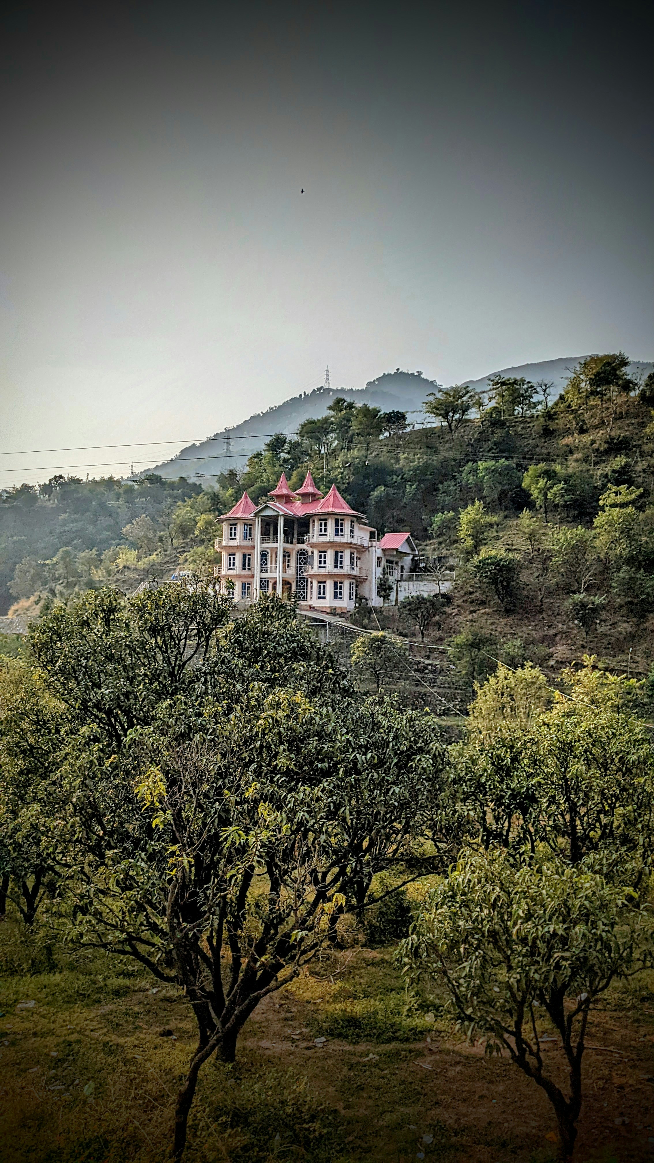 Una casa su una collina con alberi in primo piano