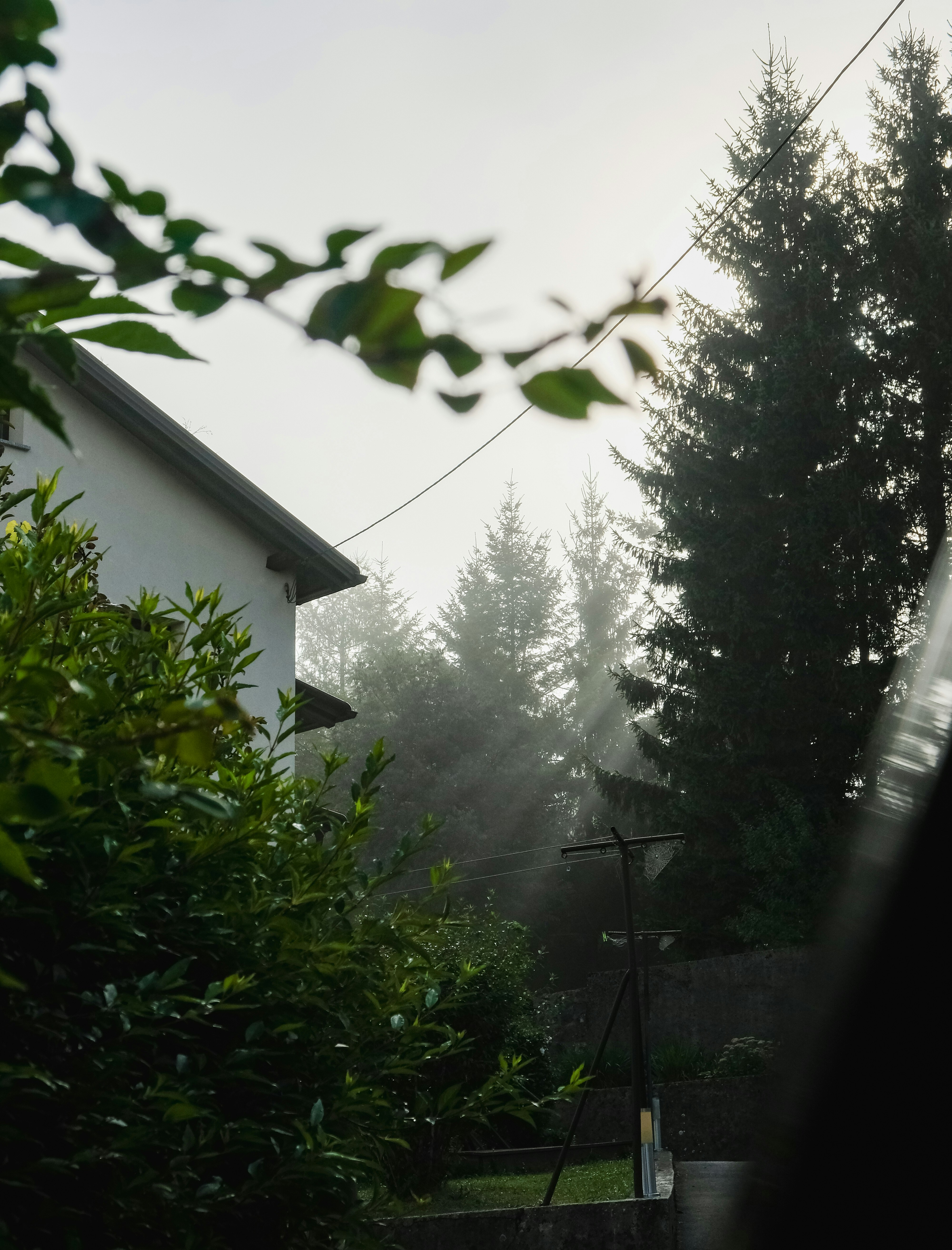 Photo by isabeladrasovean