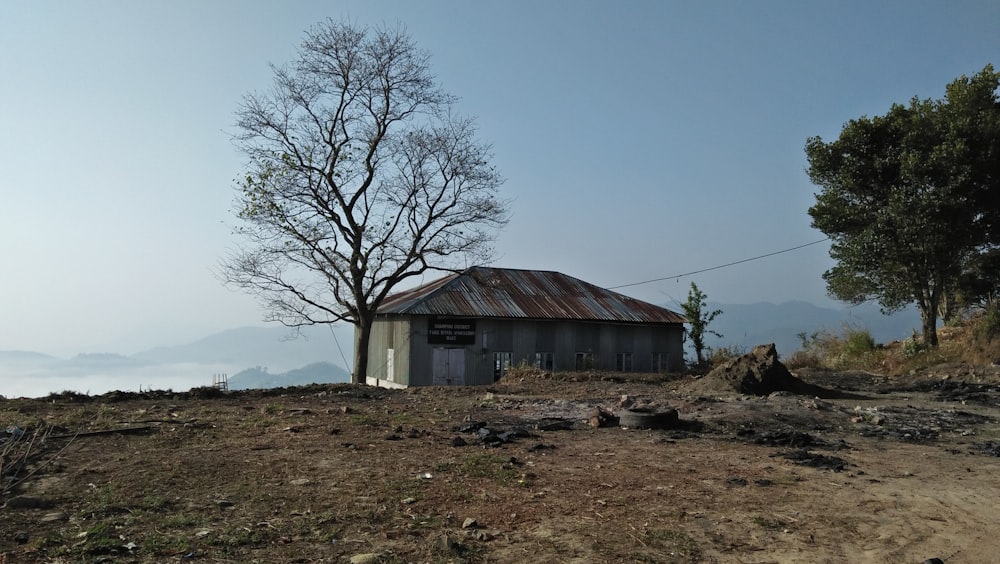 an old building on a hill with a tree in the foreground