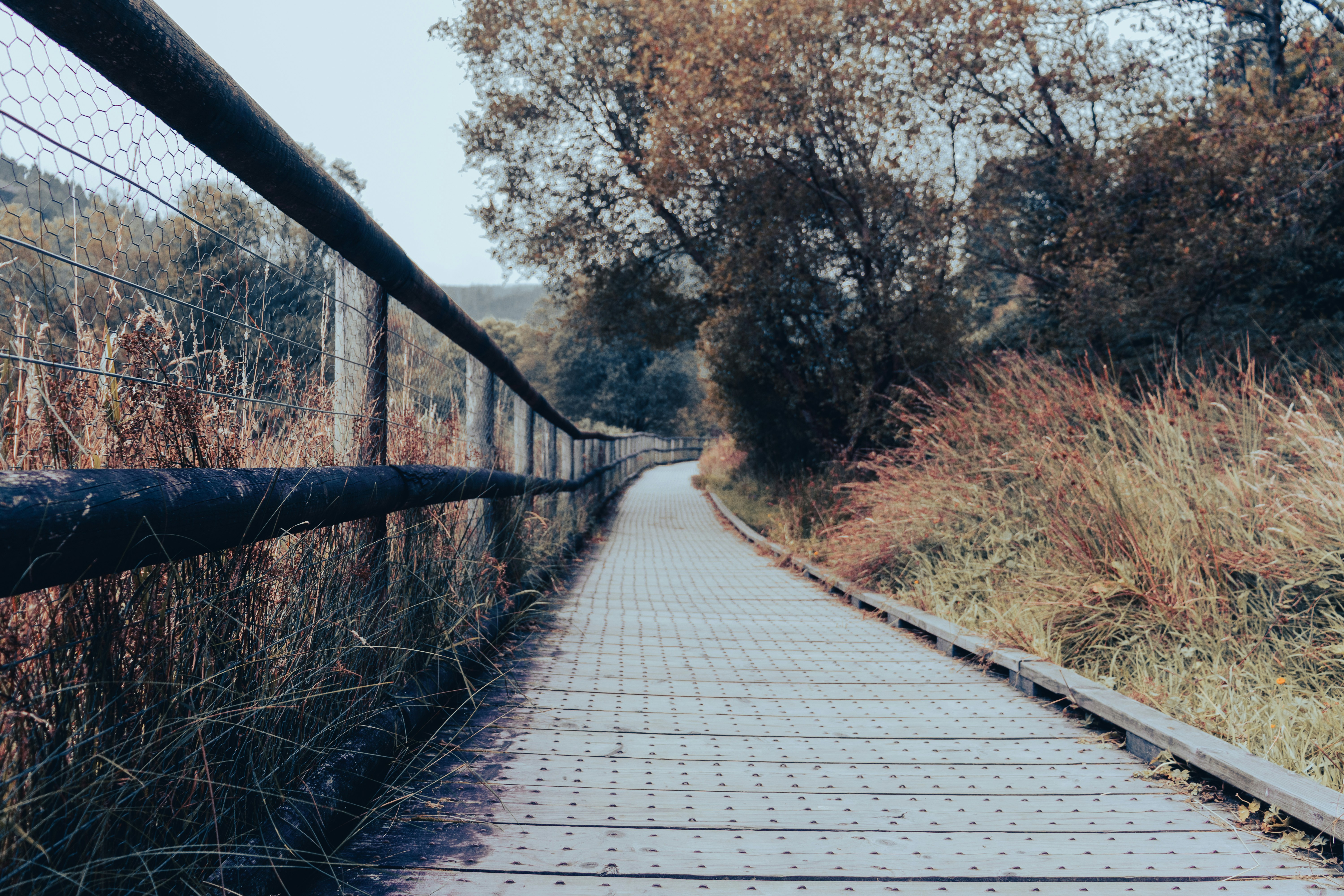 Photo by pokornymichal