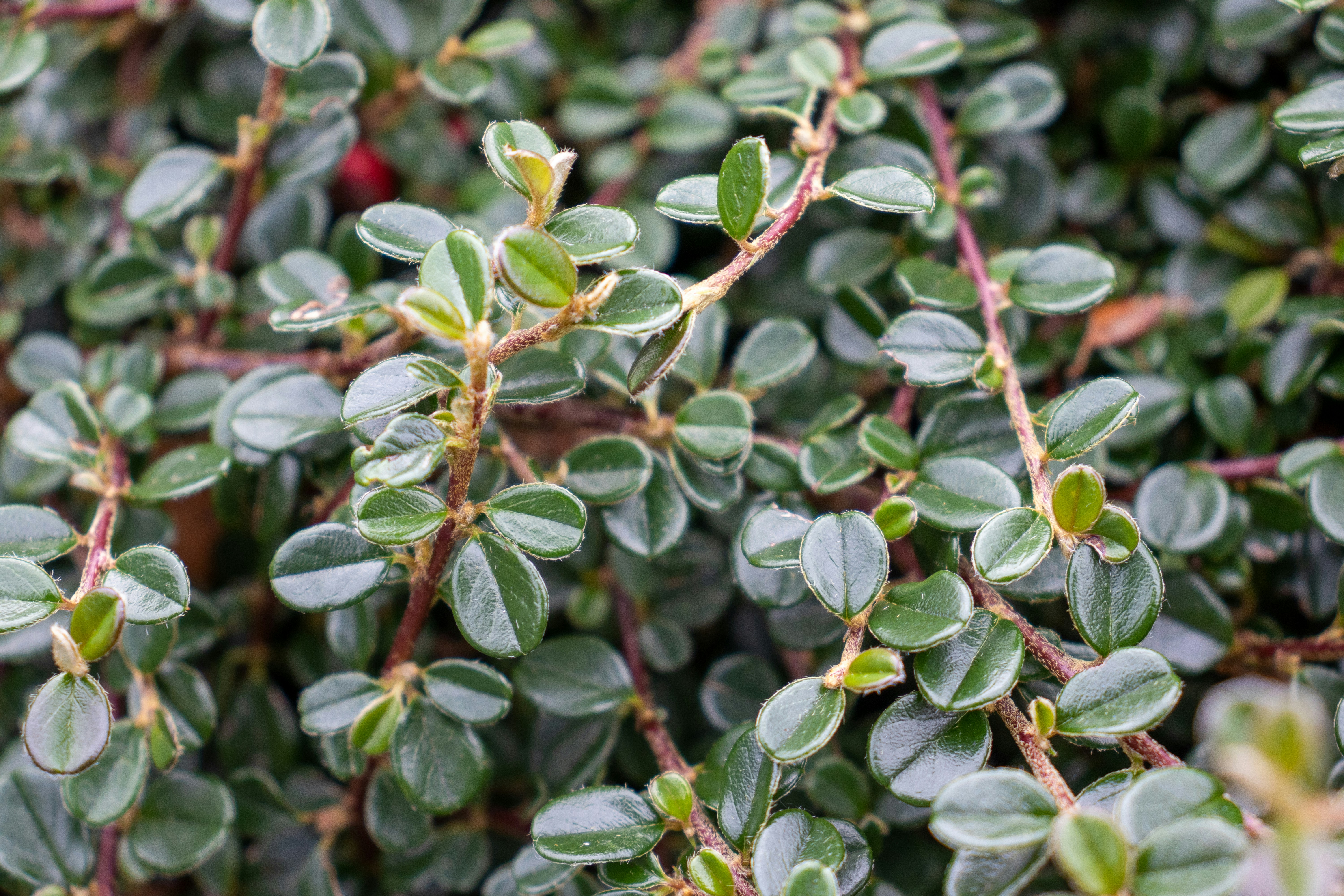 Photo by pokornymichal