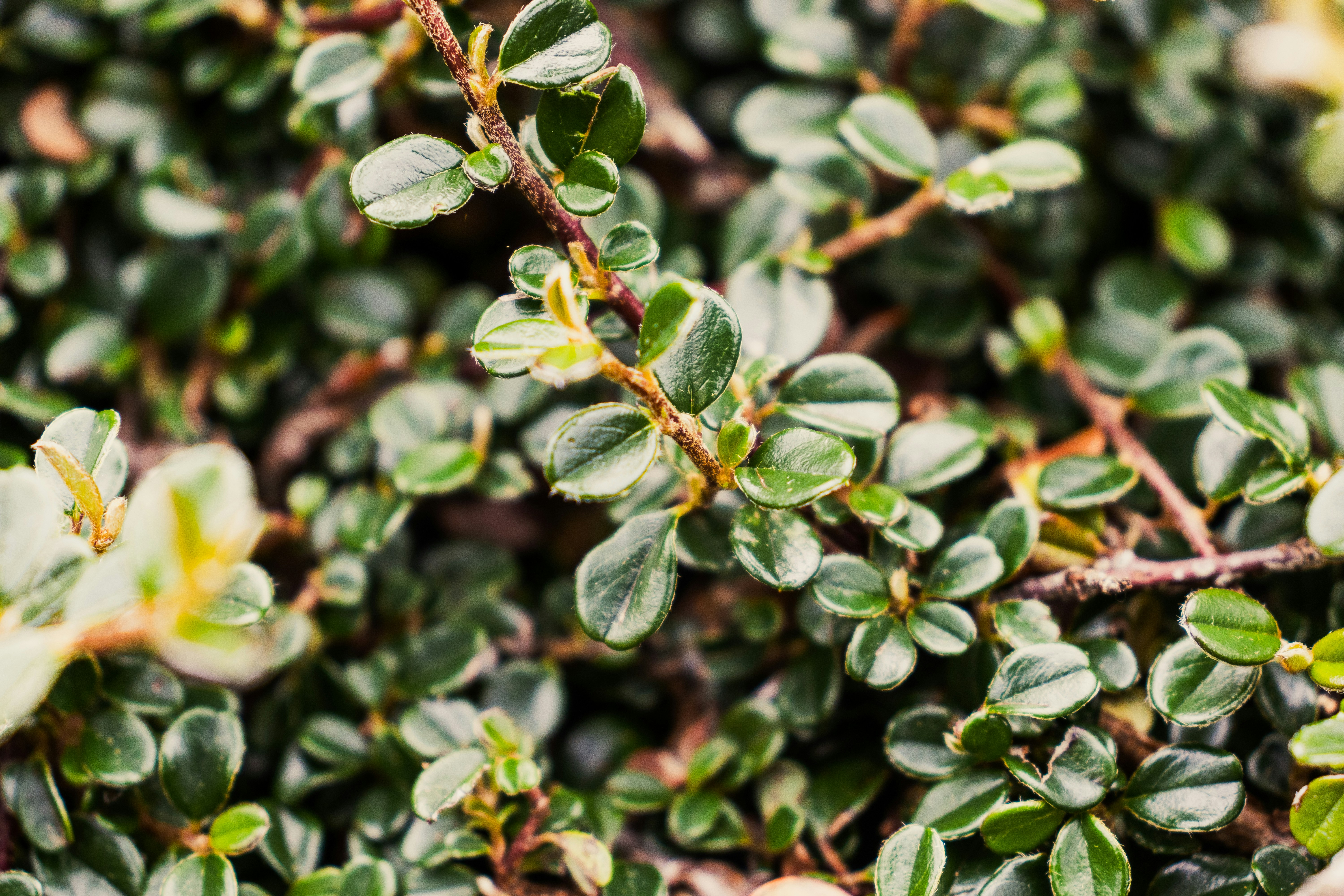 Photo by pokornymichal