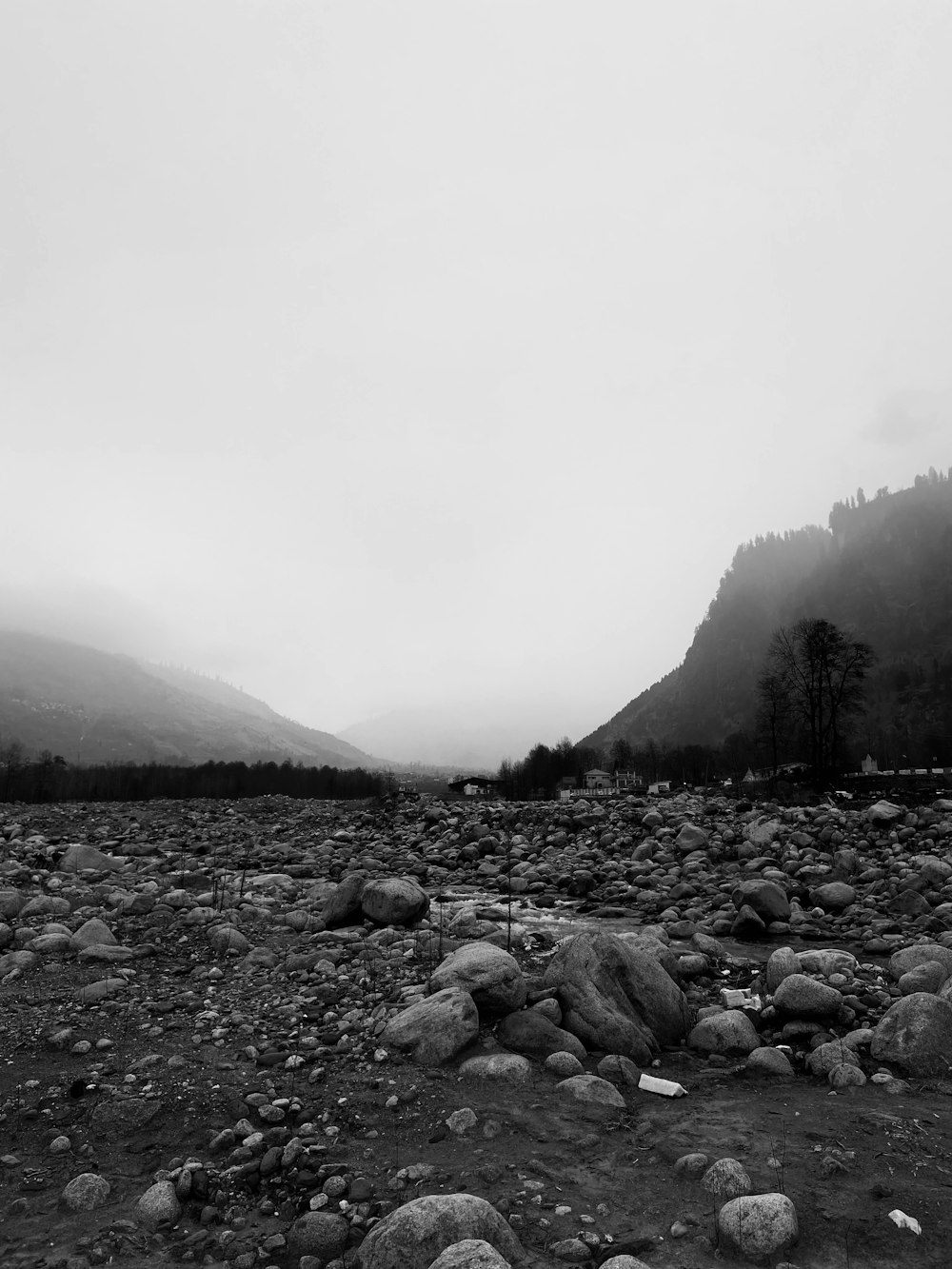 a black and white photo of a rocky field