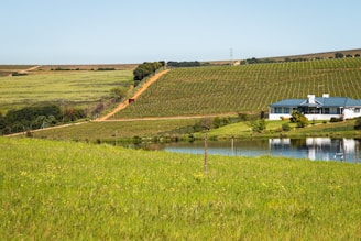 a house on a hill overlooking a lake