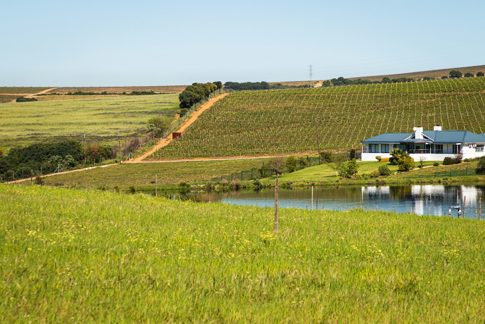 Why More People Are Considering Moving to Cardston Alberta
