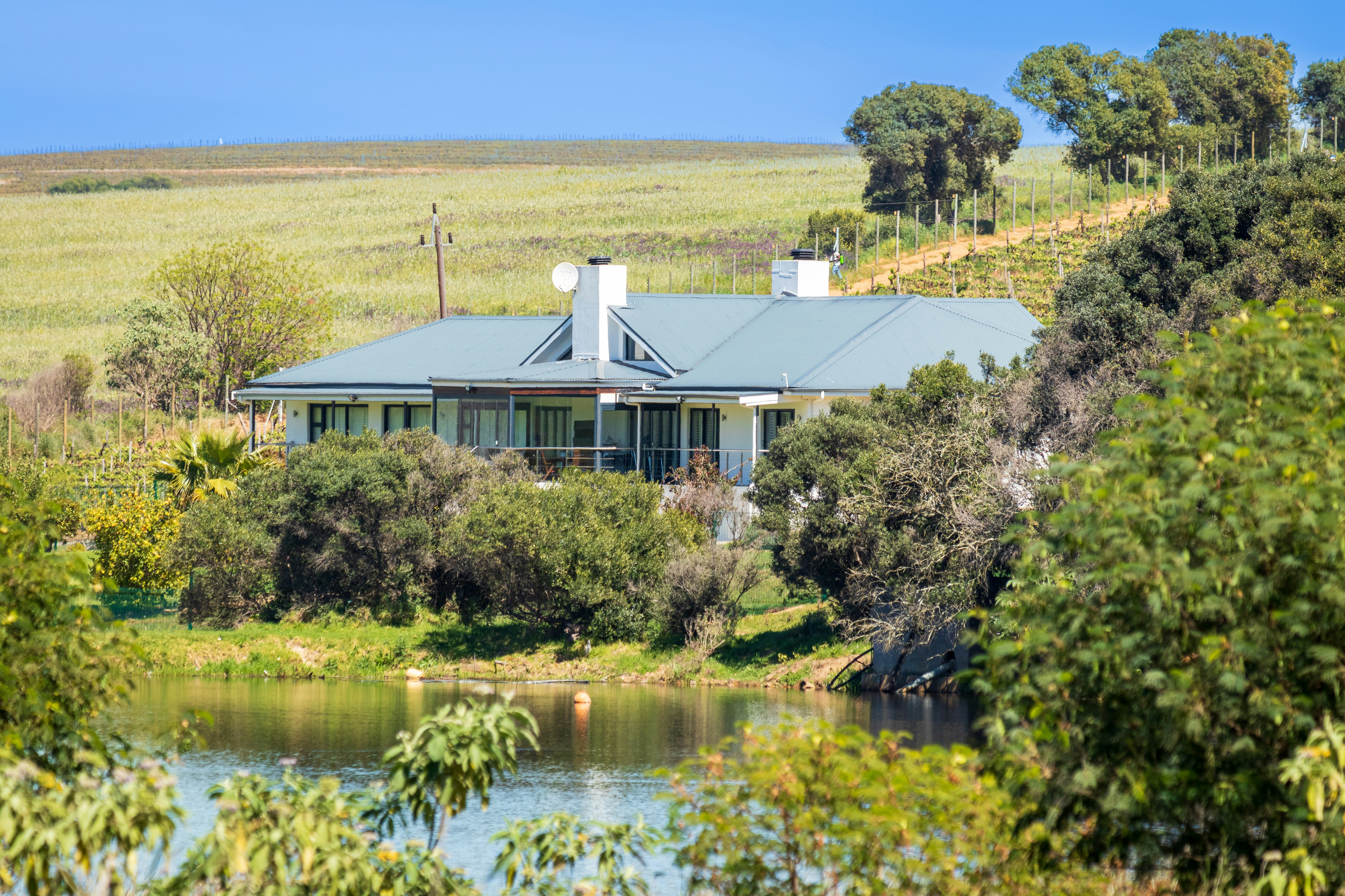 Farm house with a small pond in front of it, situated on a working wine farm.