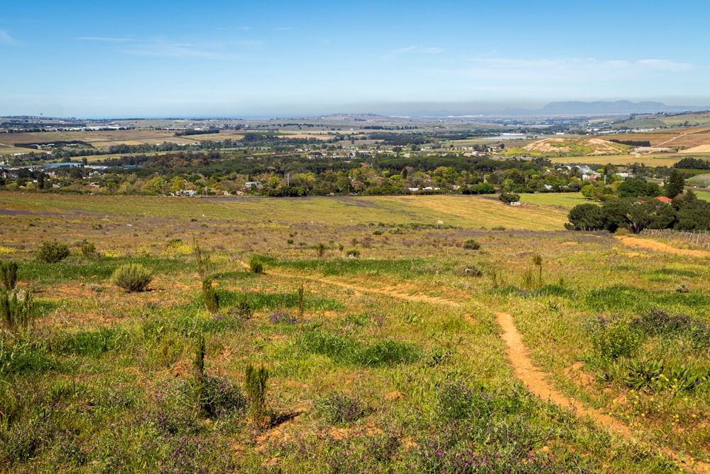 a dirt road going through a lush green field