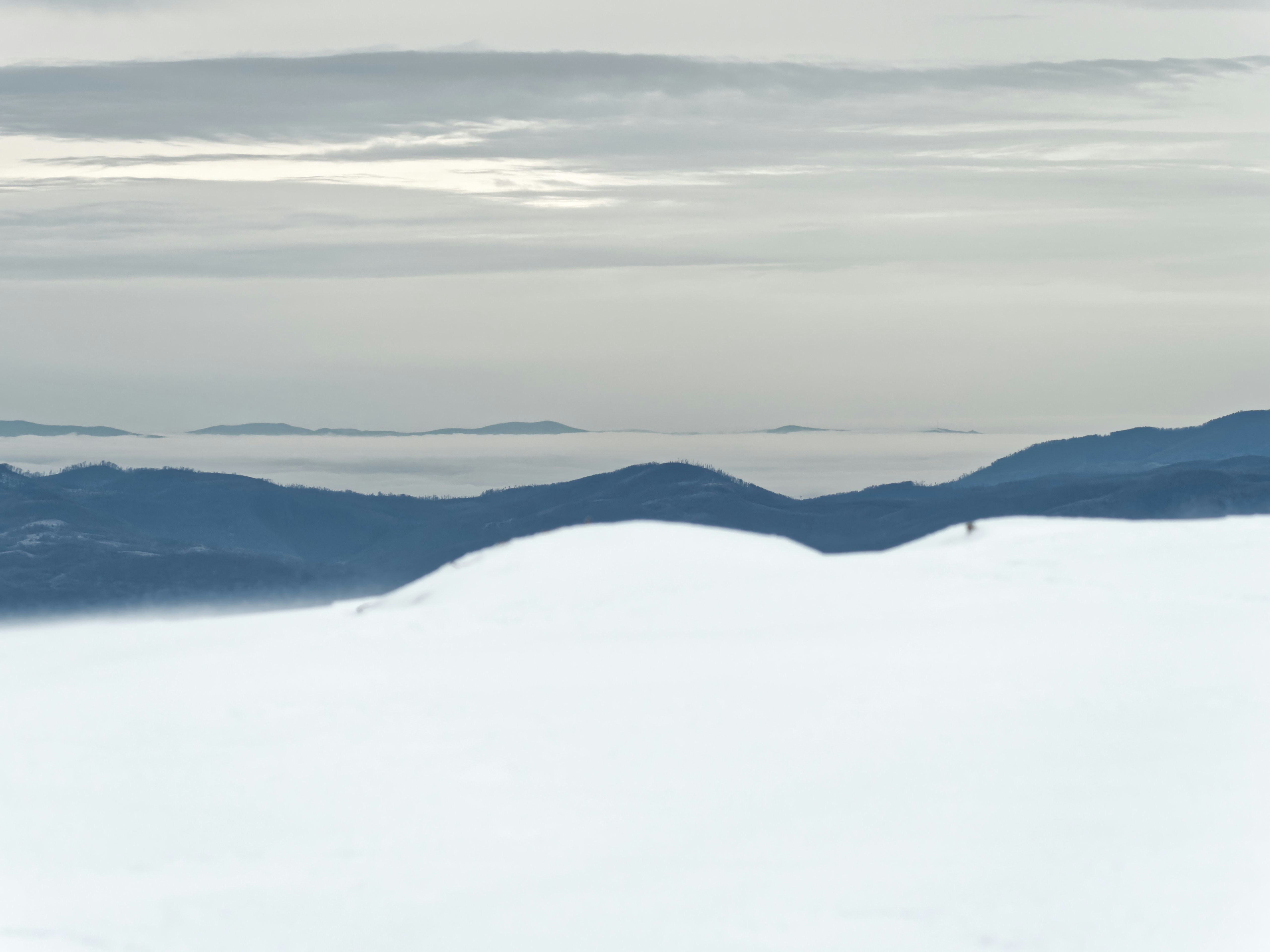 Photo by illes_cristi