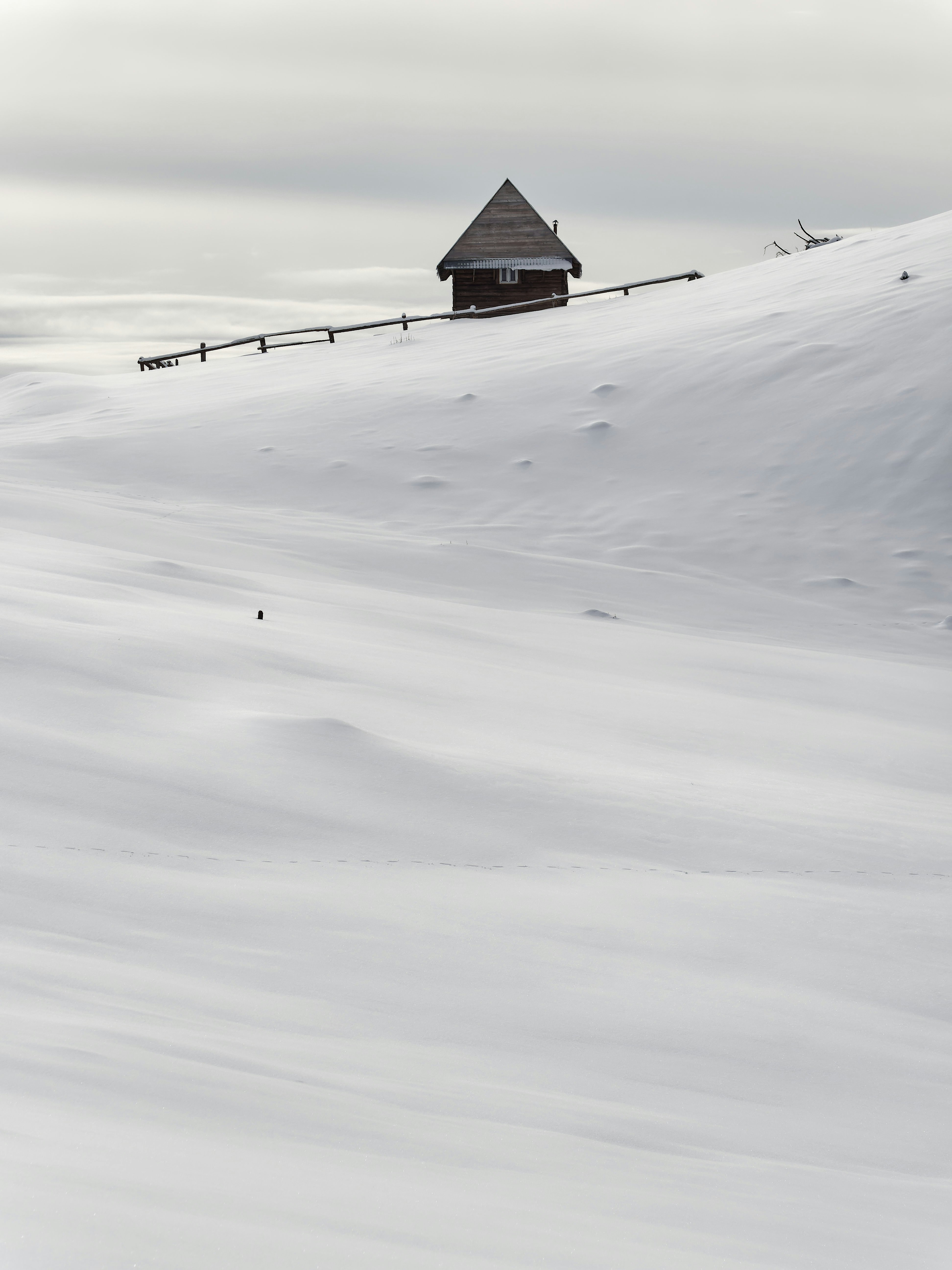 Photo by illes_cristi