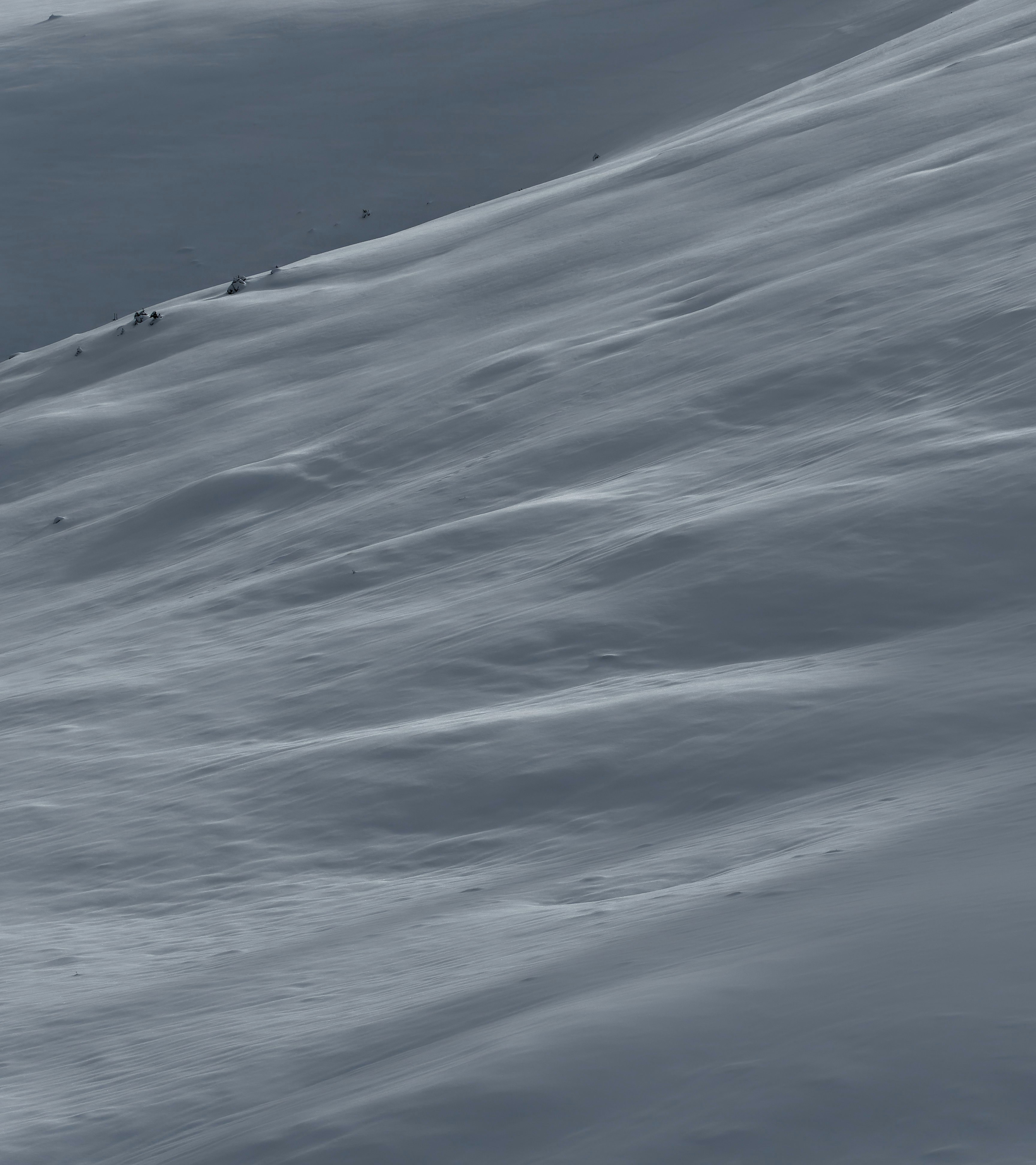 Photo by illes_cristi