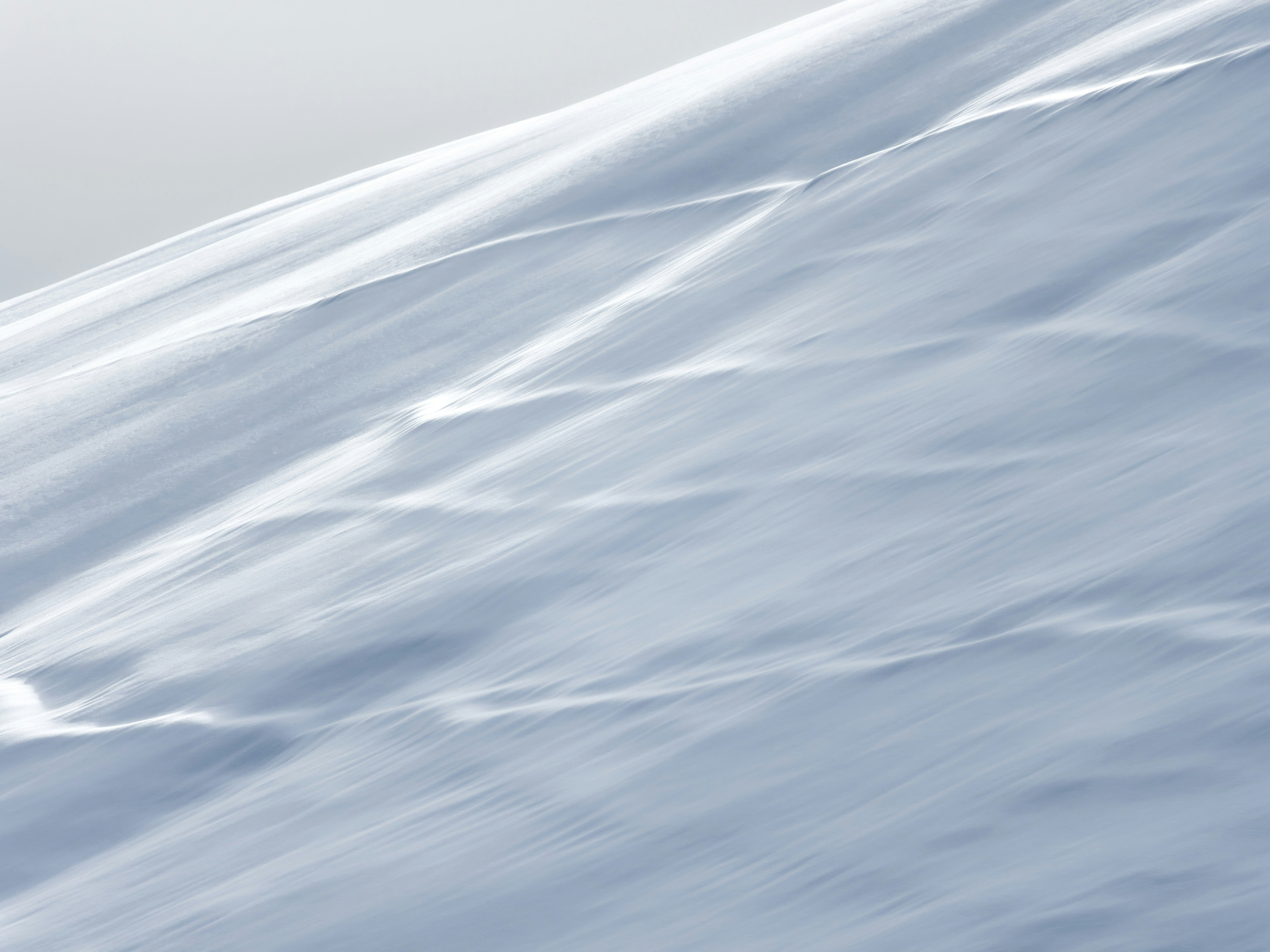 Photo by illes_cristi