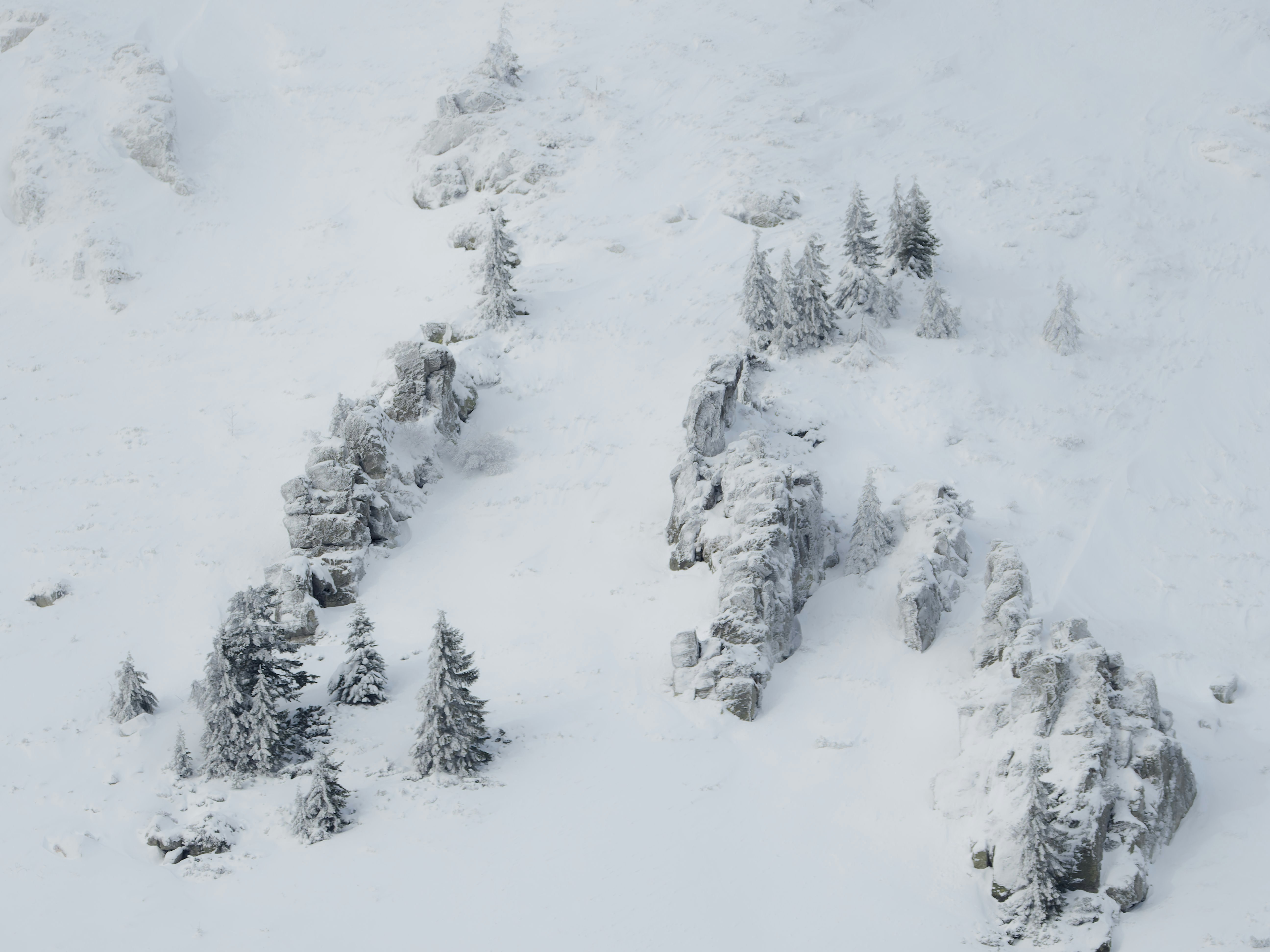 Photo by illes_cristi