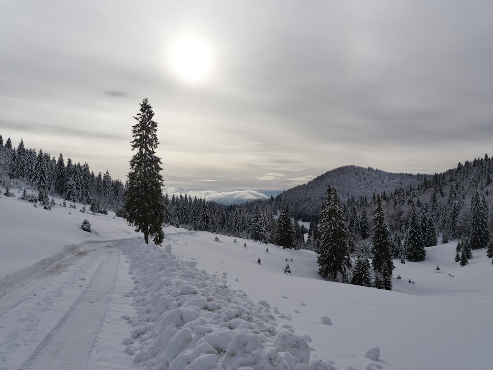 a snow covered road with trees and mountains in the background