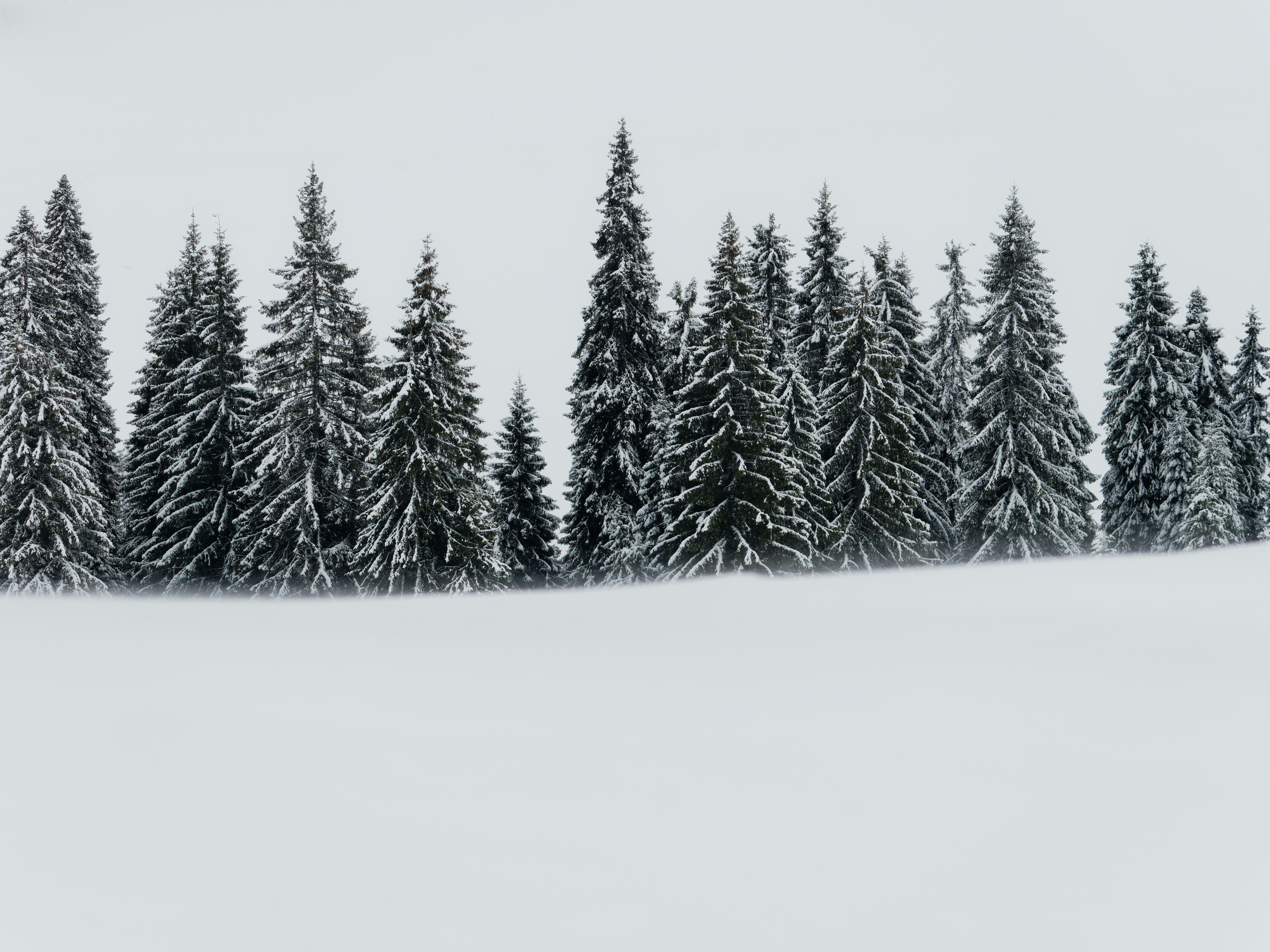 Photo by illes_cristi