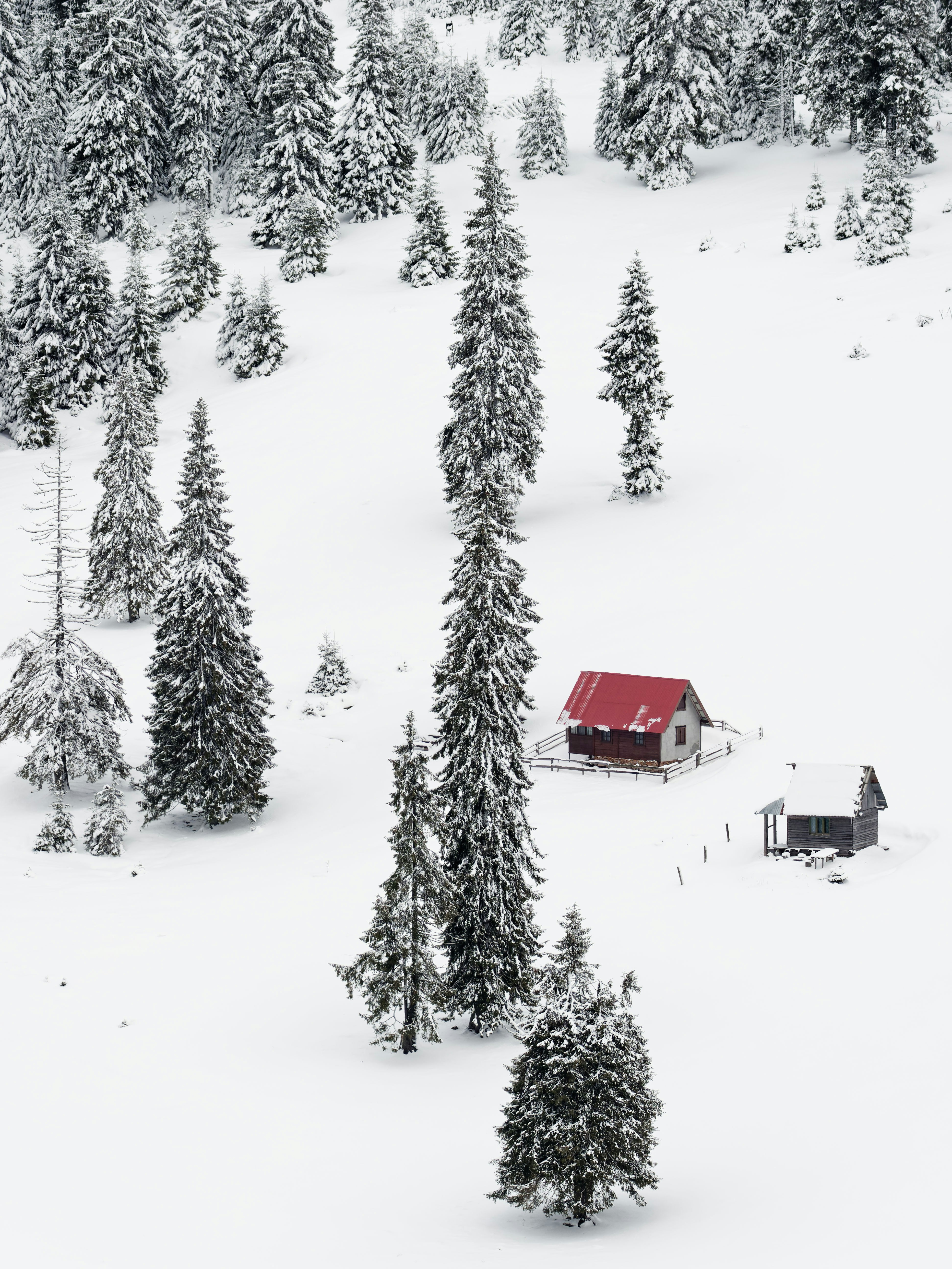 Photo by illes_cristi