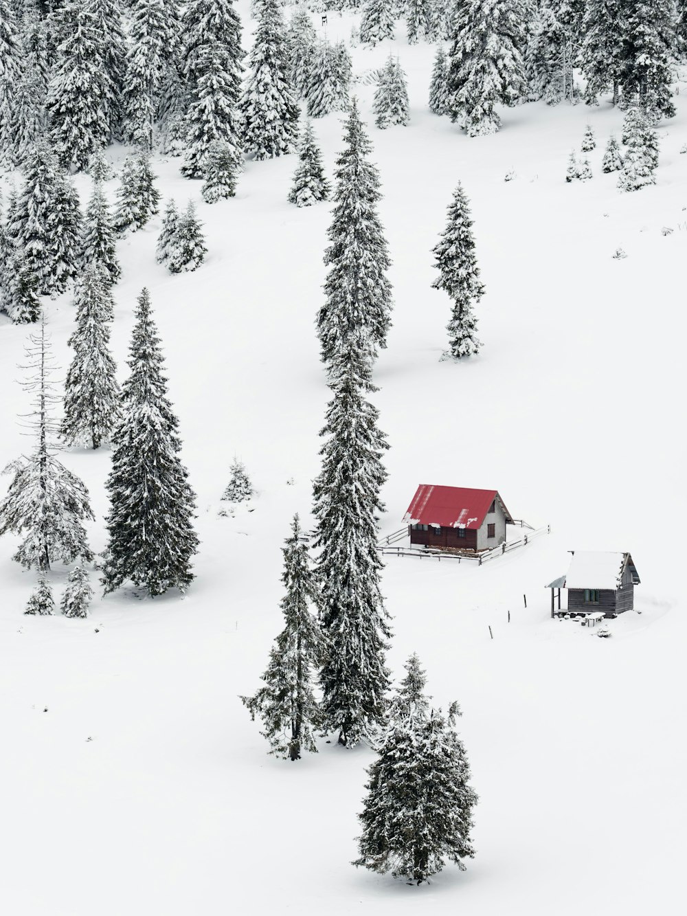 a small cabin in the middle of a snowy forest