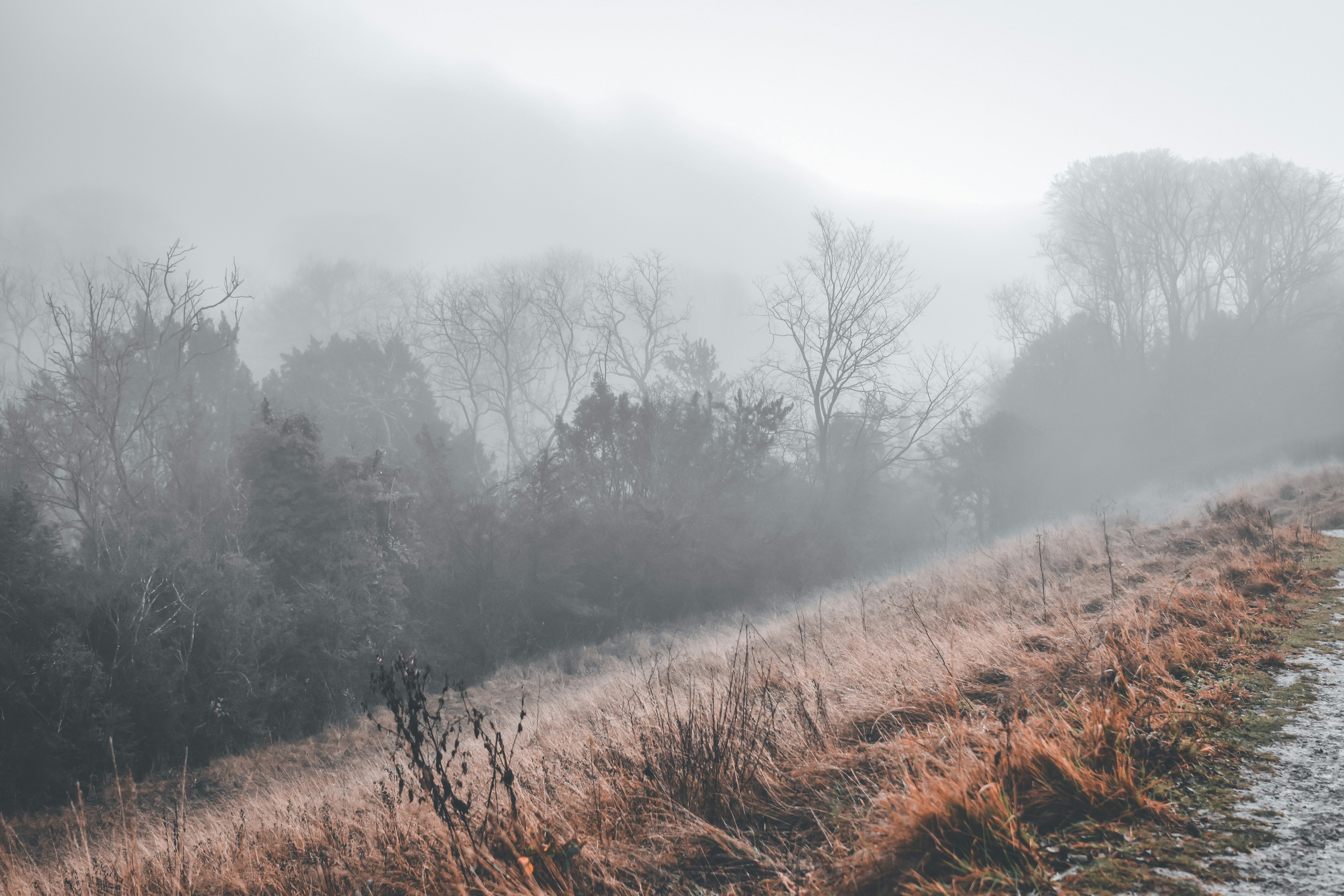 Photo by elliottmason