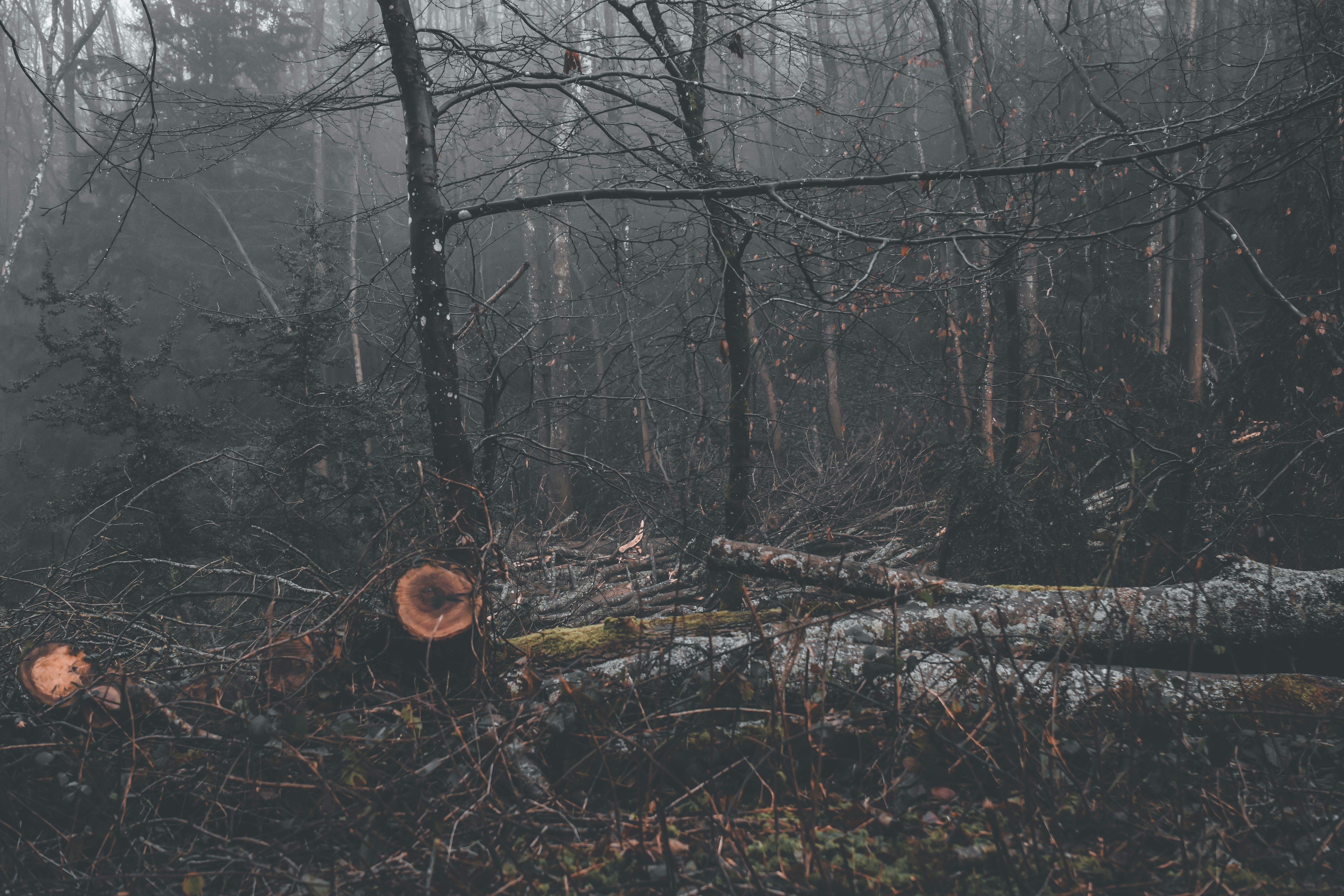 Photo by elliottmason