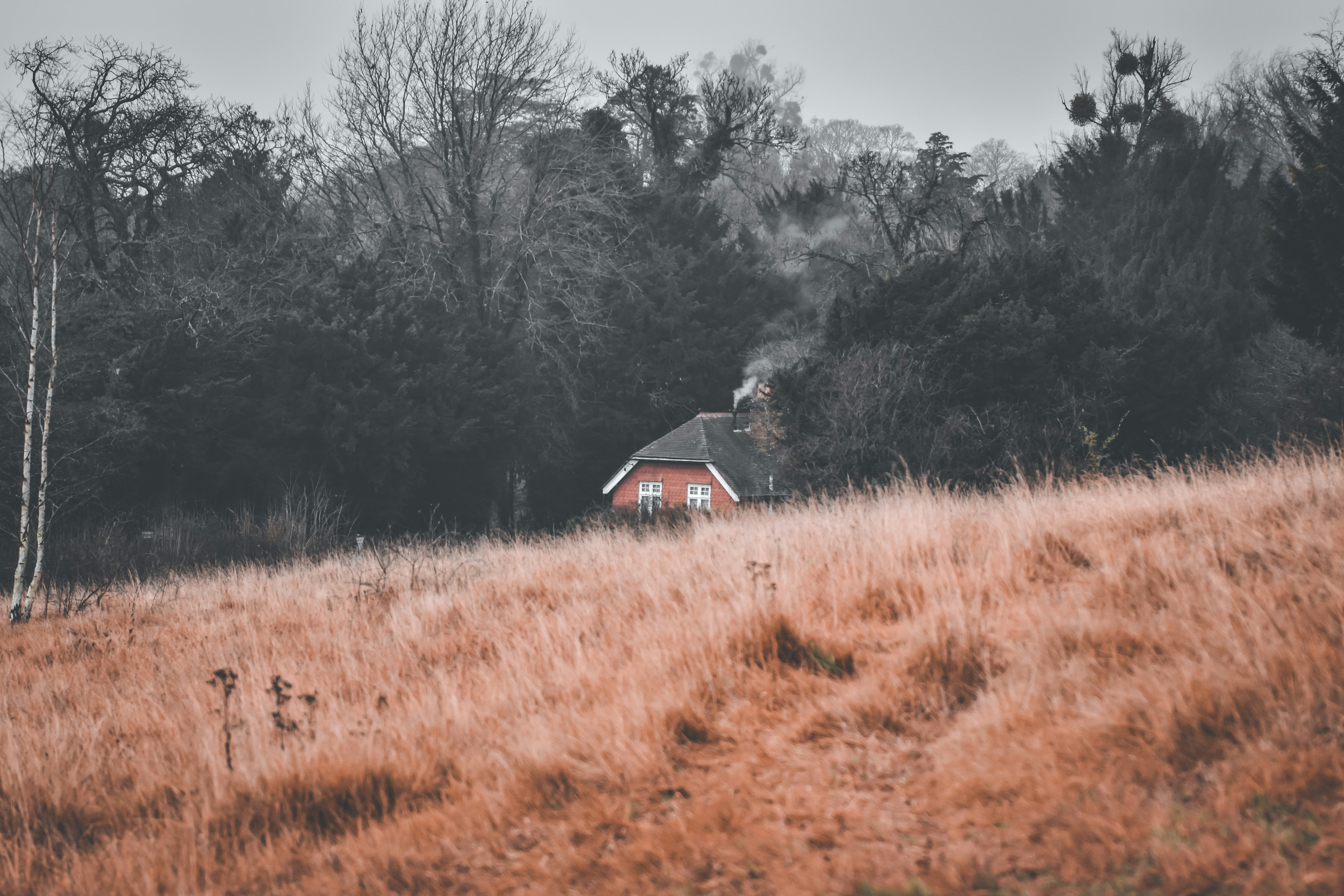 Photo by elliottmason