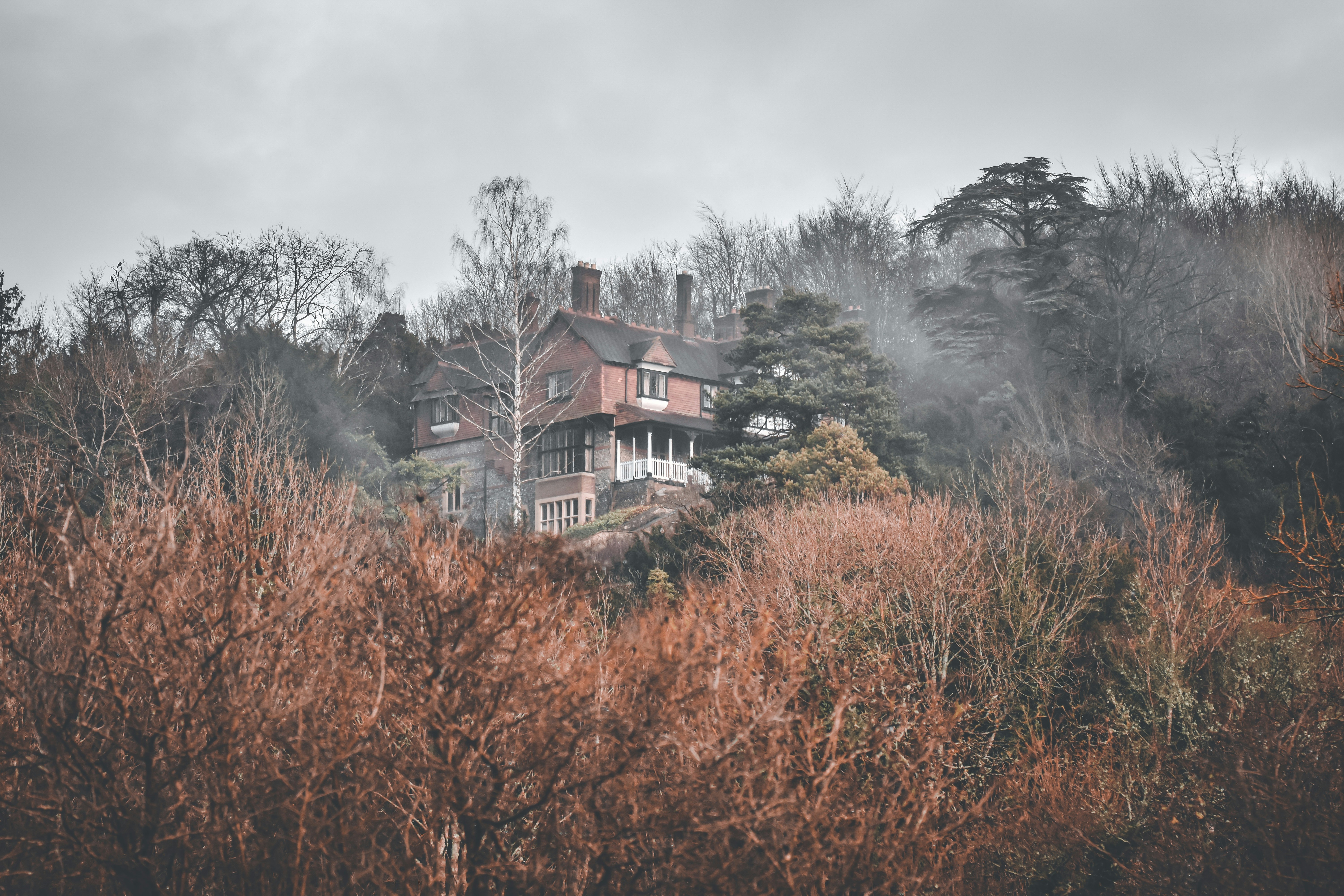 Photo by elliottmason