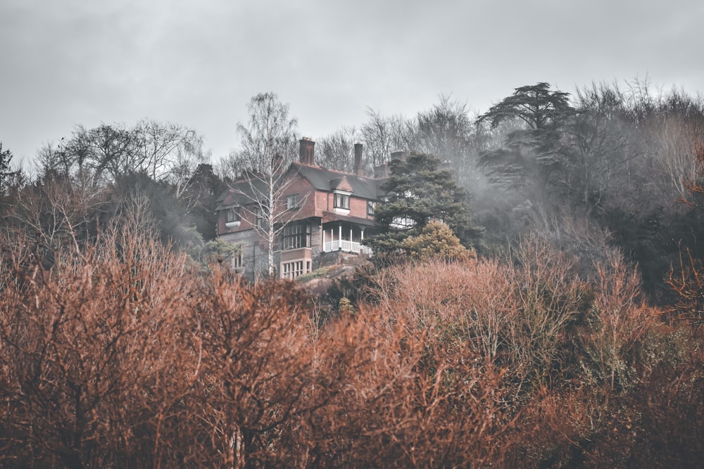 a house on a hill surrounded by trees