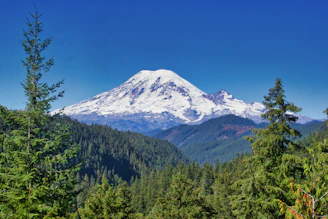 a snow covered mountain towering over a forest