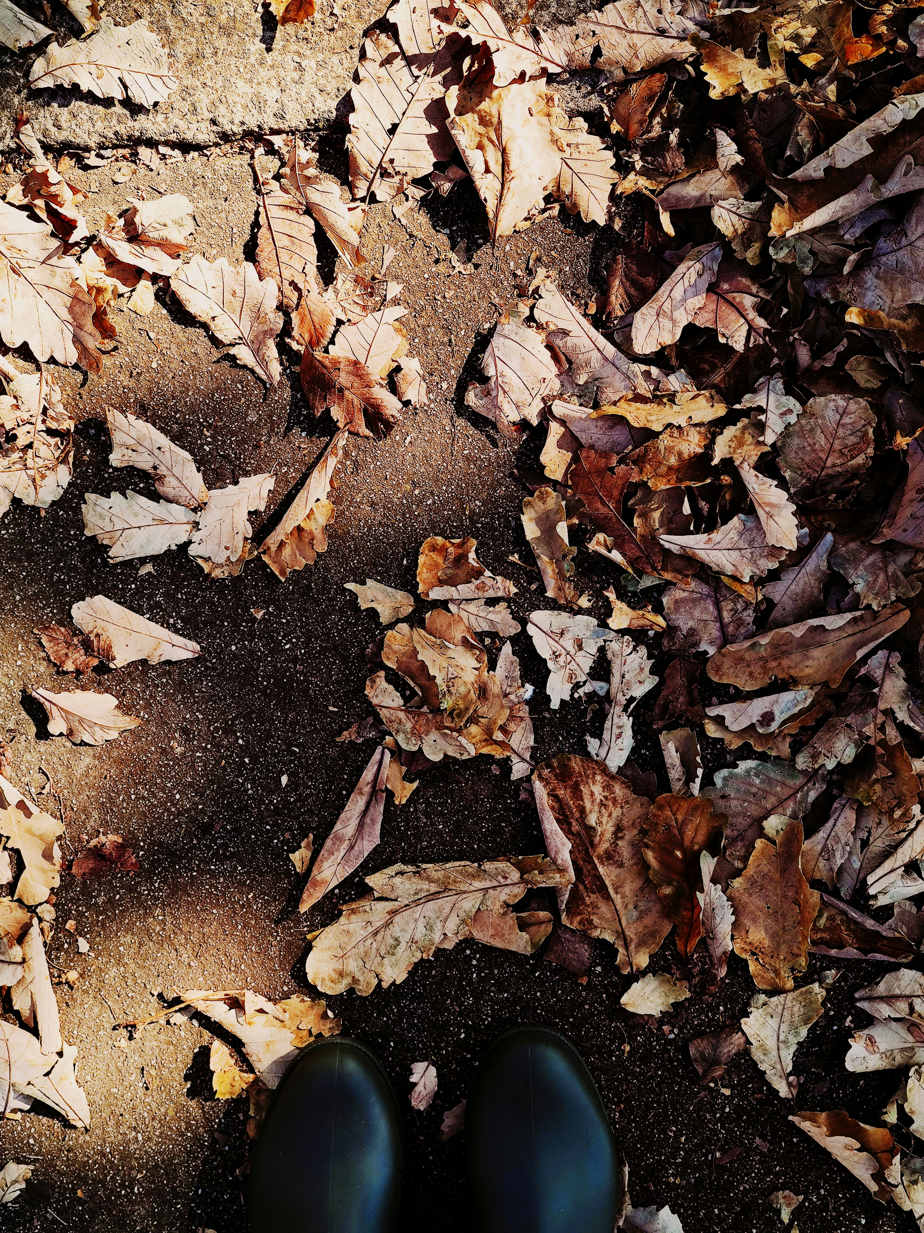 Photo by ivyaralianizar