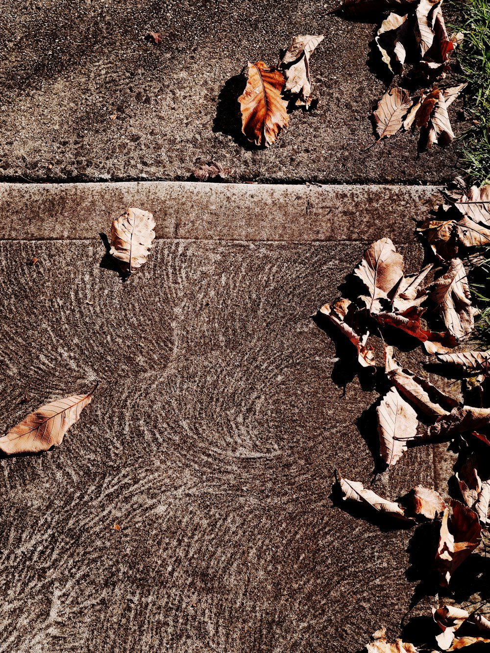 a sidewalk that has fallen leaves on it