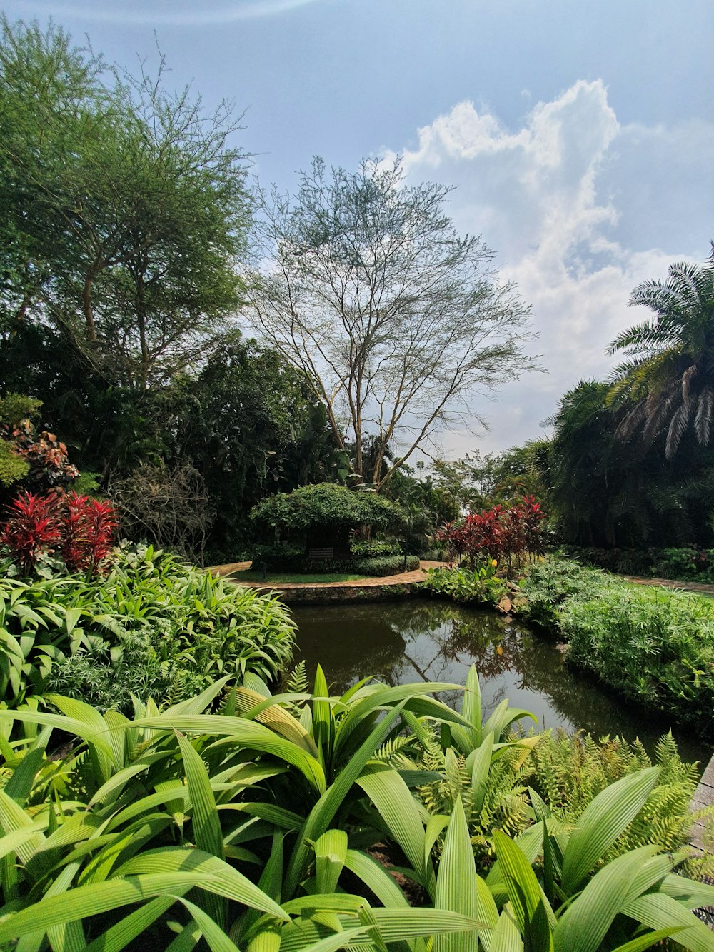 a pond surrounded by lush green plants and trees
