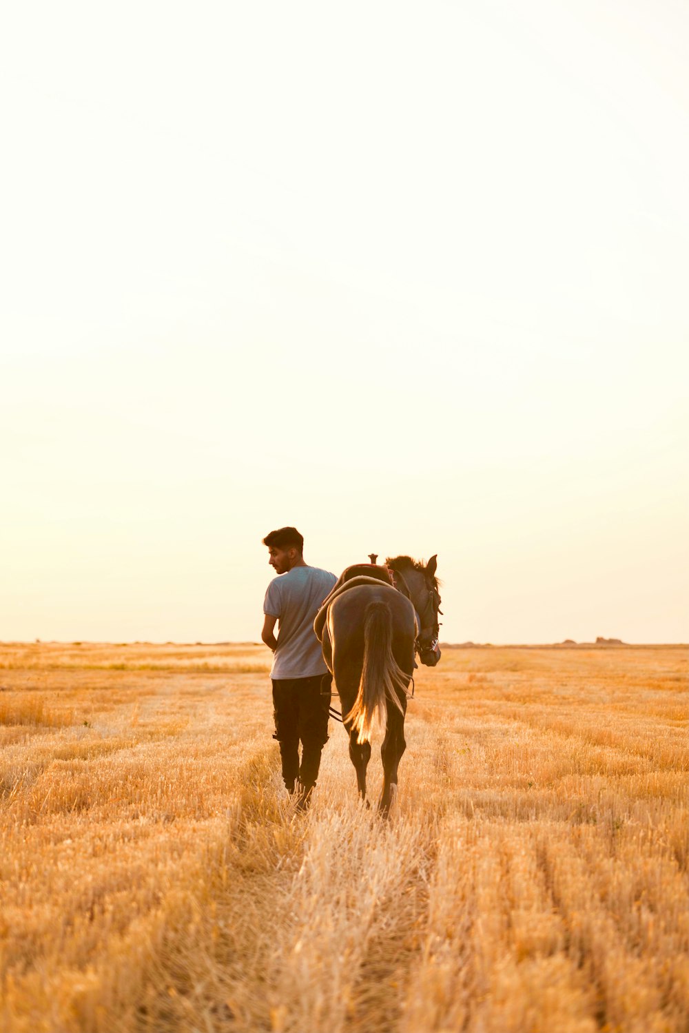 Un homme promenant un cheval dans un champ d’herbe sèche