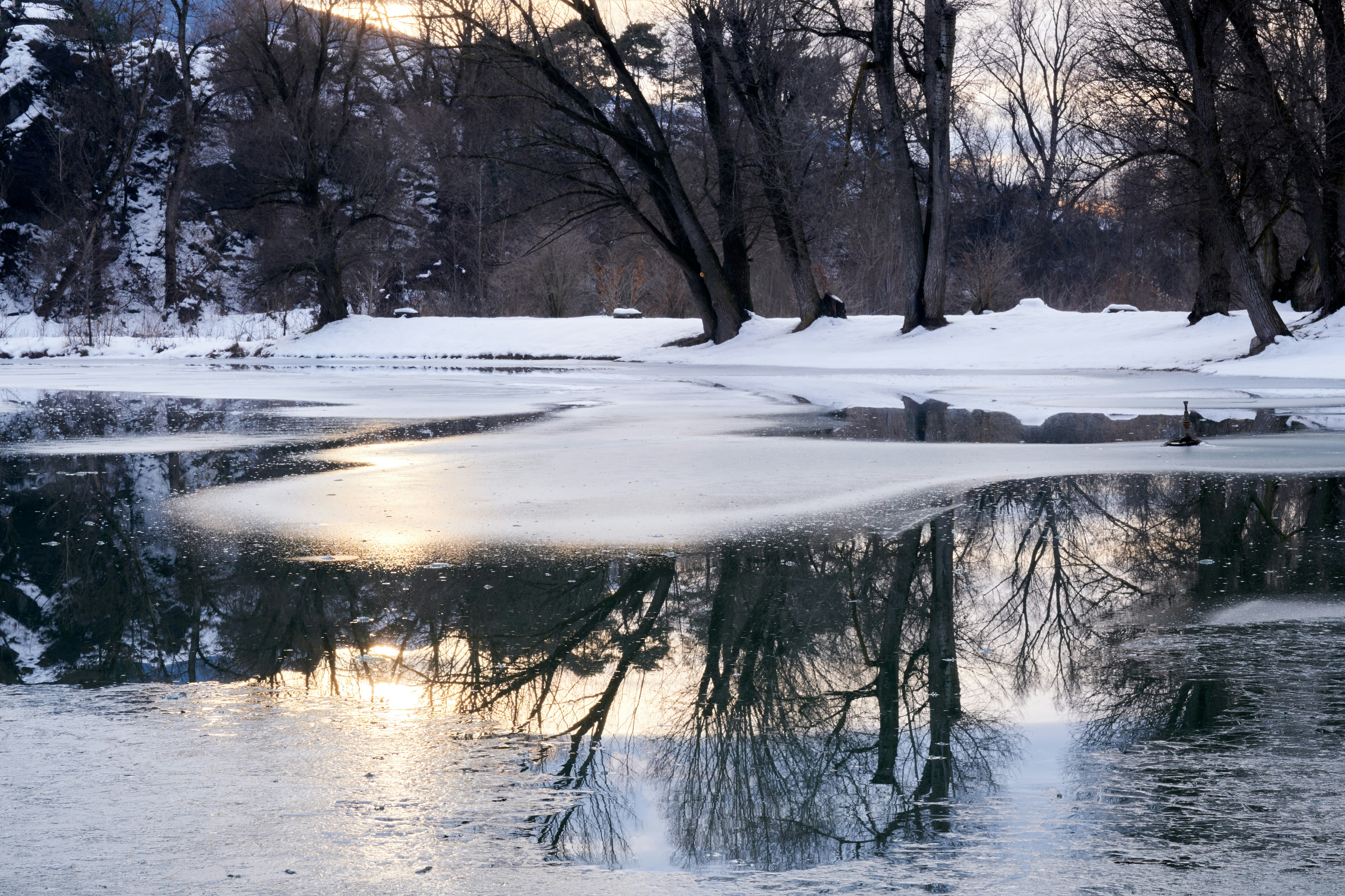 Photo by bullfishfighter