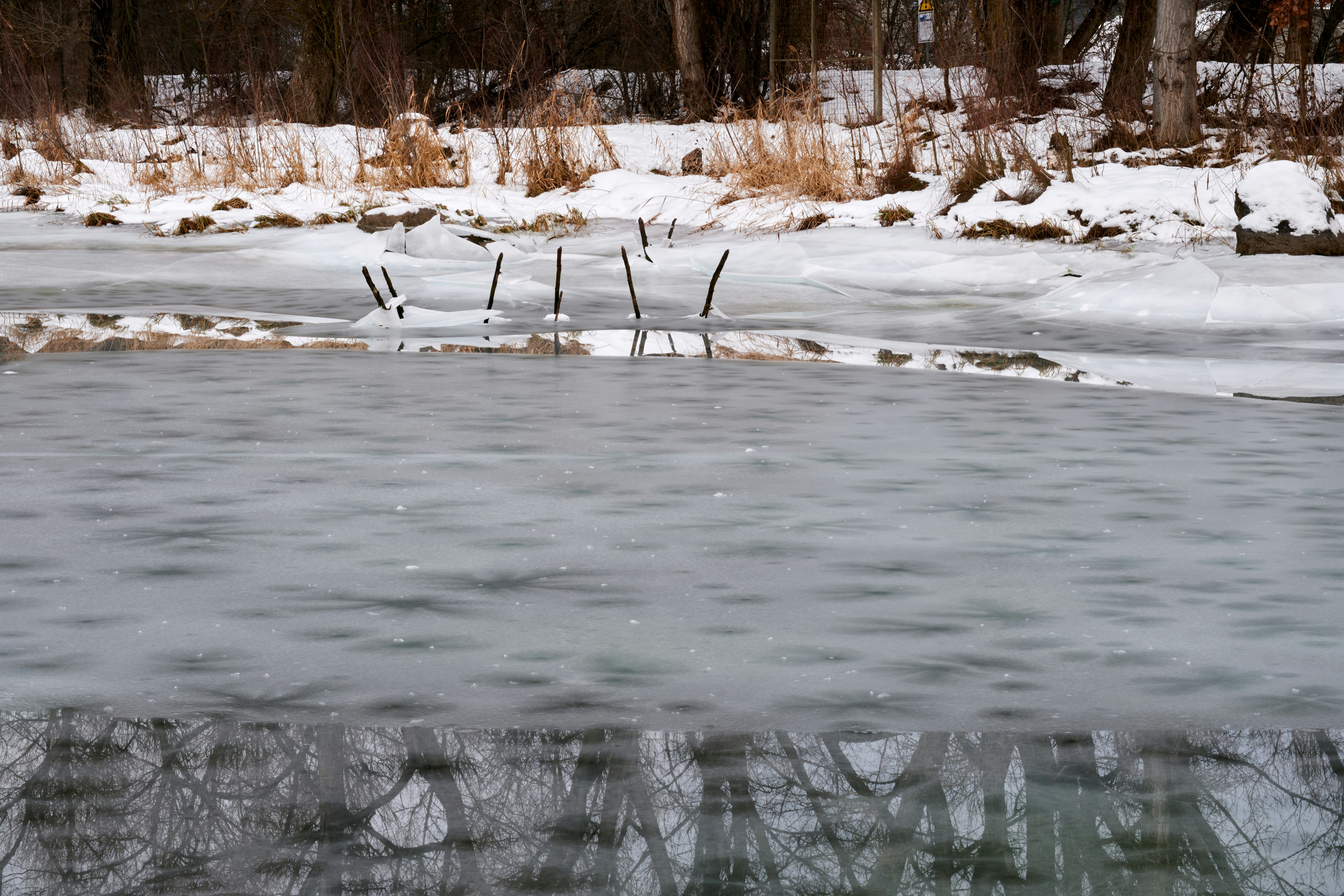 Photo by bullfishfighter