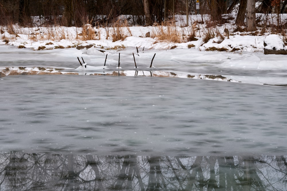 a body of water surrounded by snow covered ground