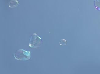 soap bubbles floating in the air on a sunny day