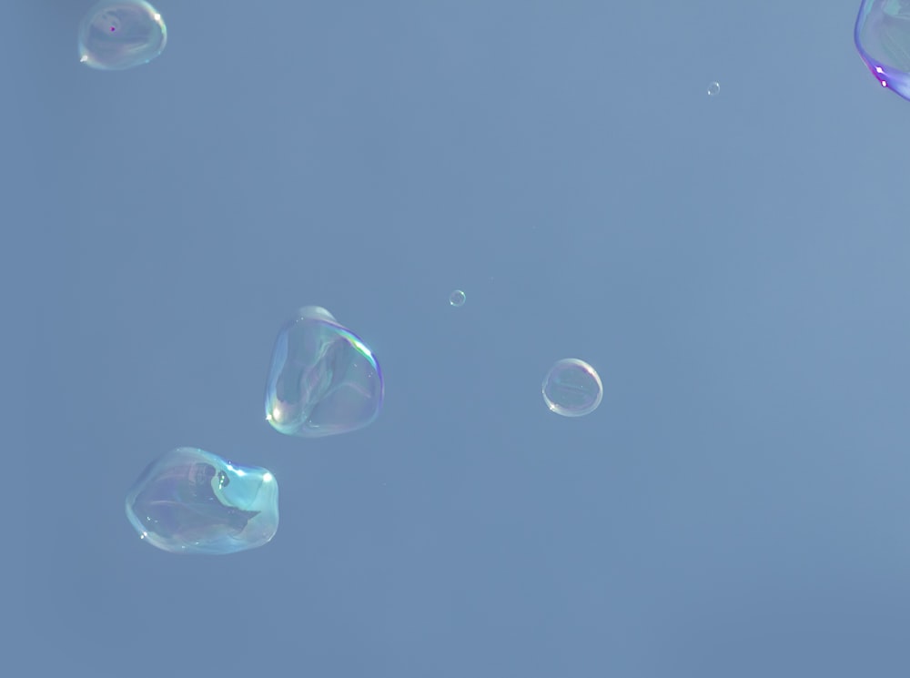 soap bubbles floating in the air on a sunny day