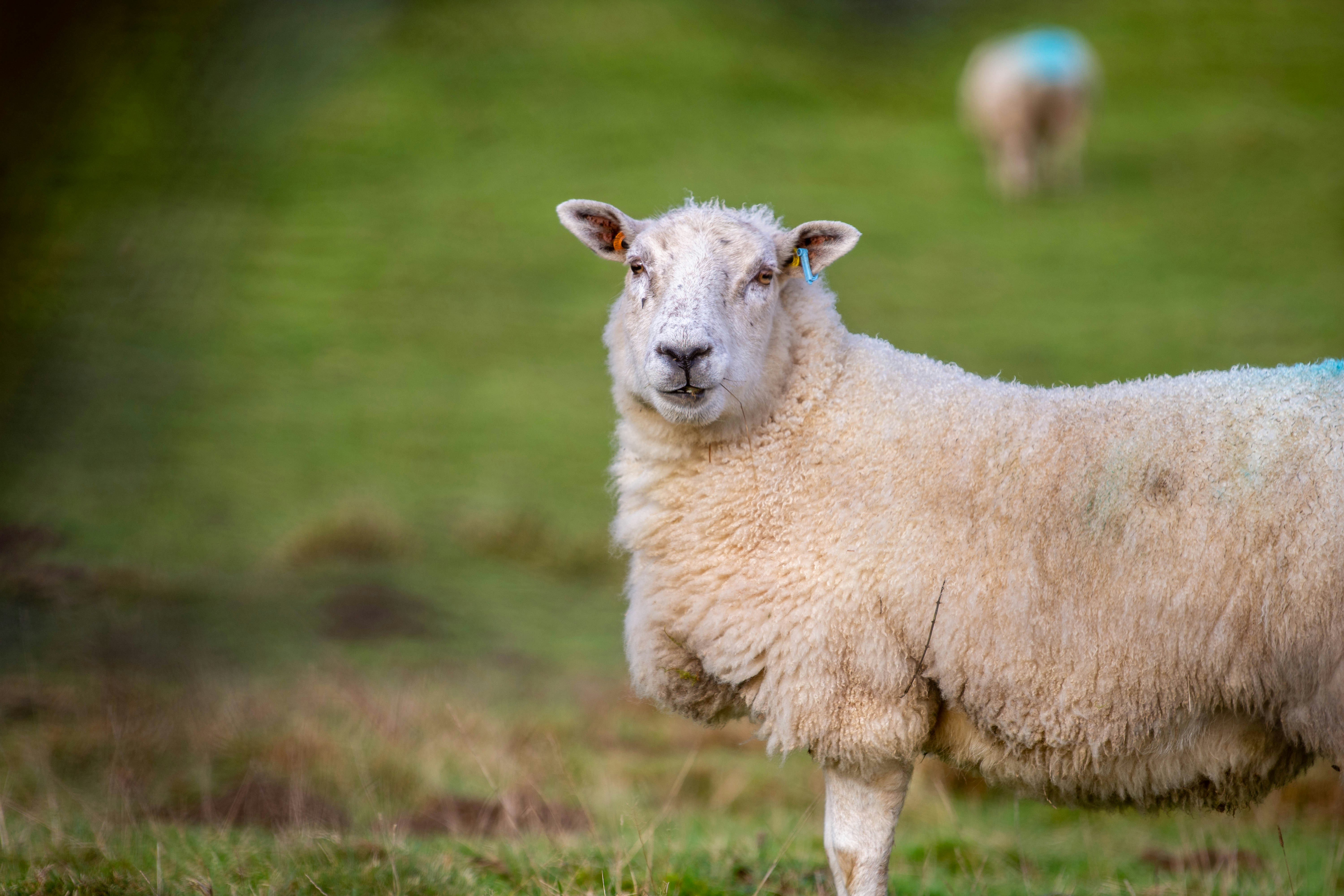 Photo by maplerockdesign