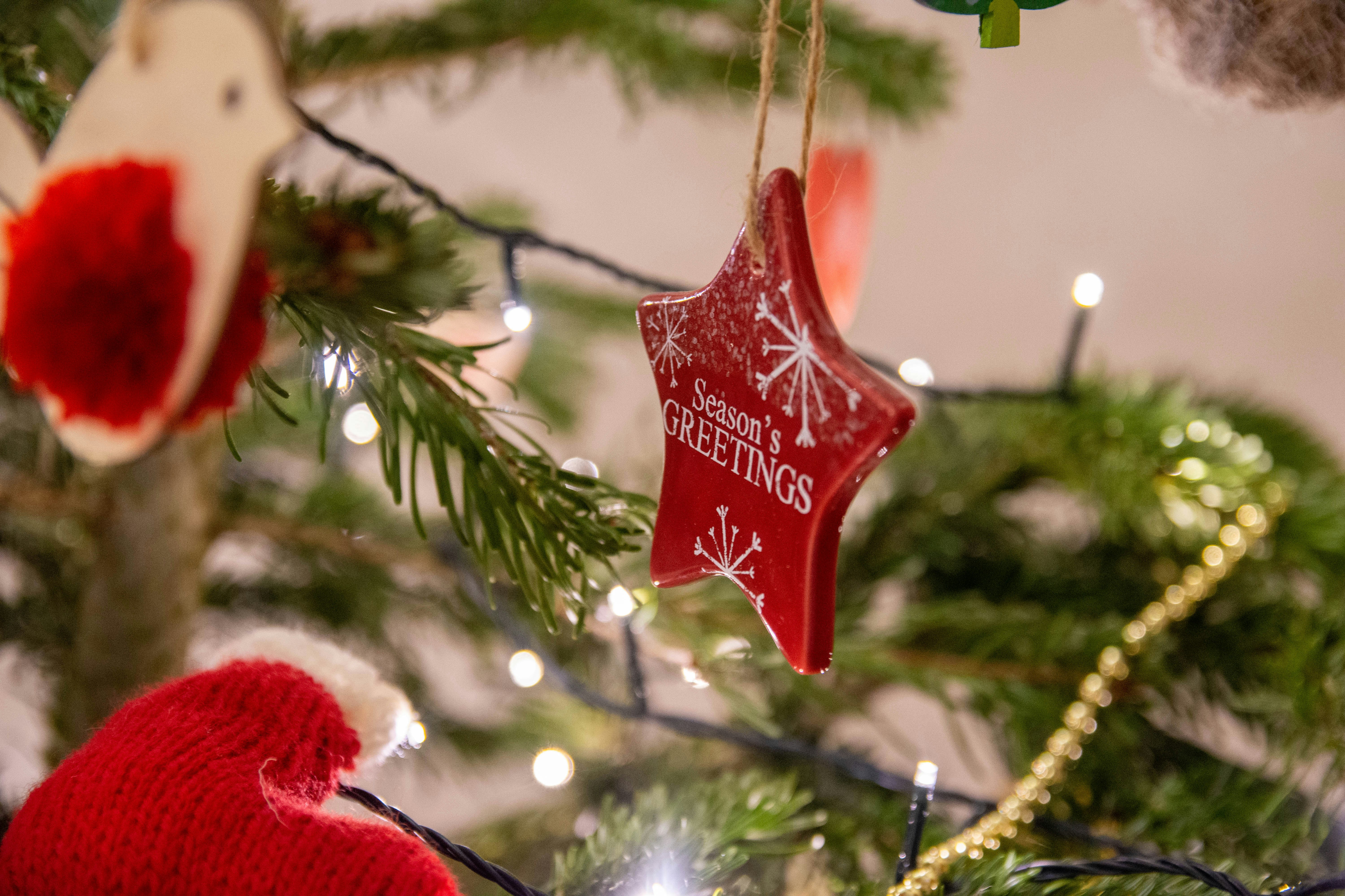 christmas reindeer wallpaper, wallpaper, Christmas Reindeer Crafts for Adults: Festive DIY Ideas 2